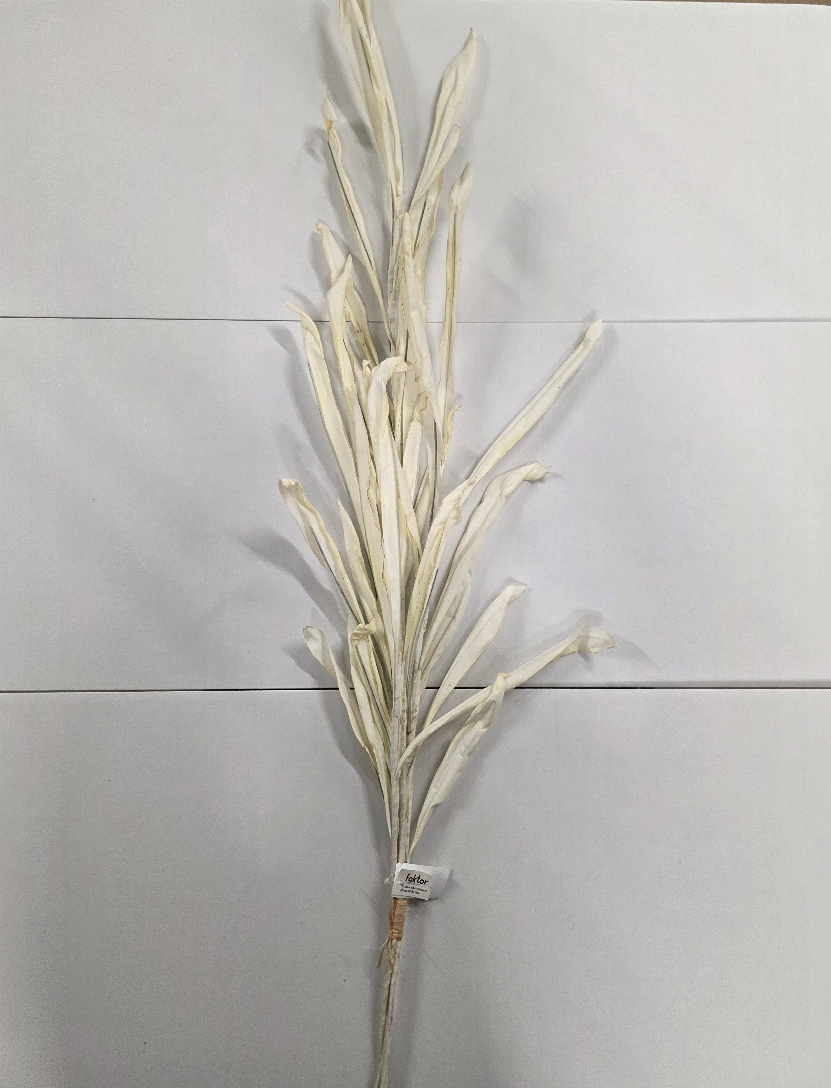 Artificial Autumn Reed Cream 123cm X4