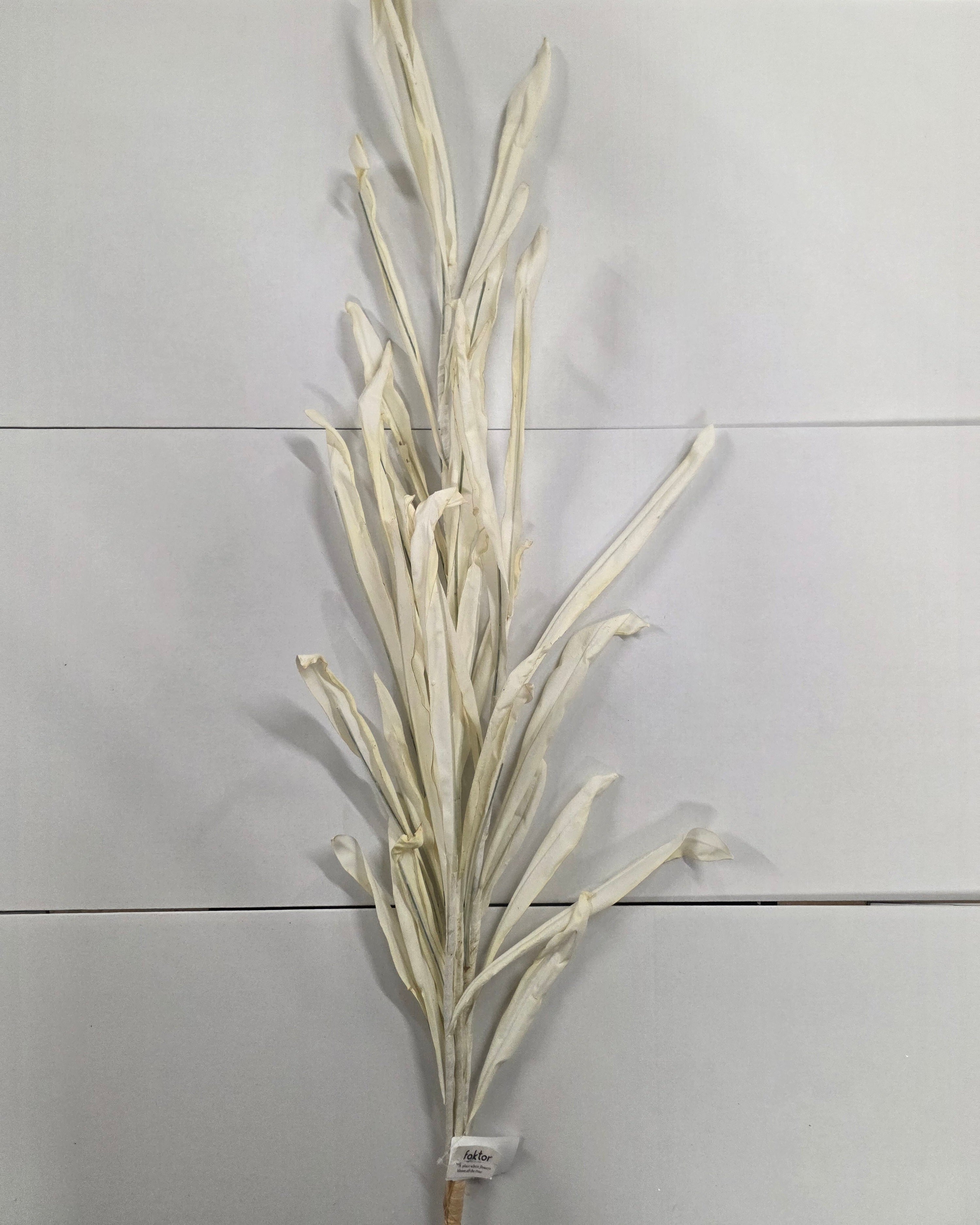Artificial Autumn Reed Cream 123cm X4