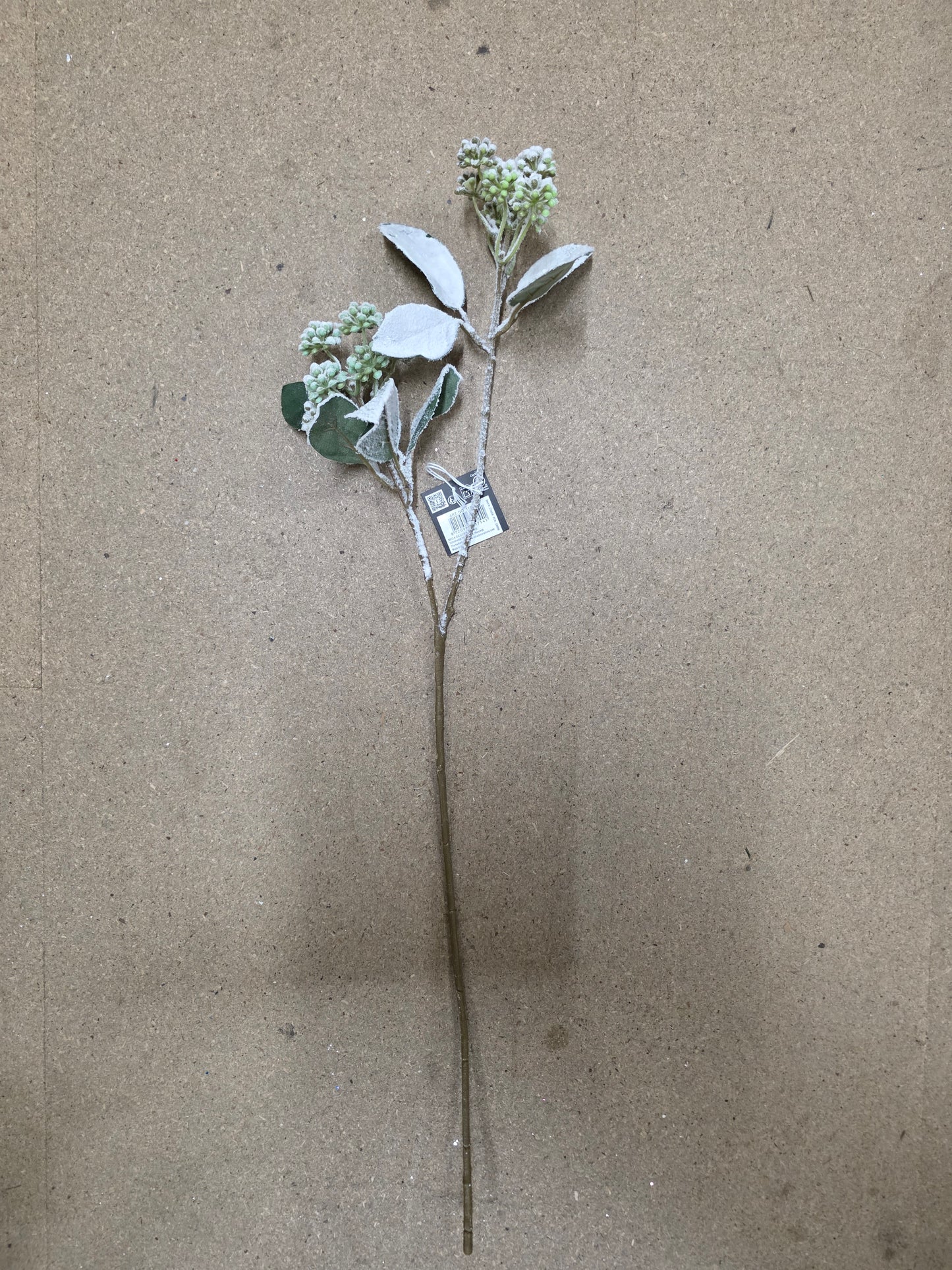 Cornus Branch Green Frosted 71cm