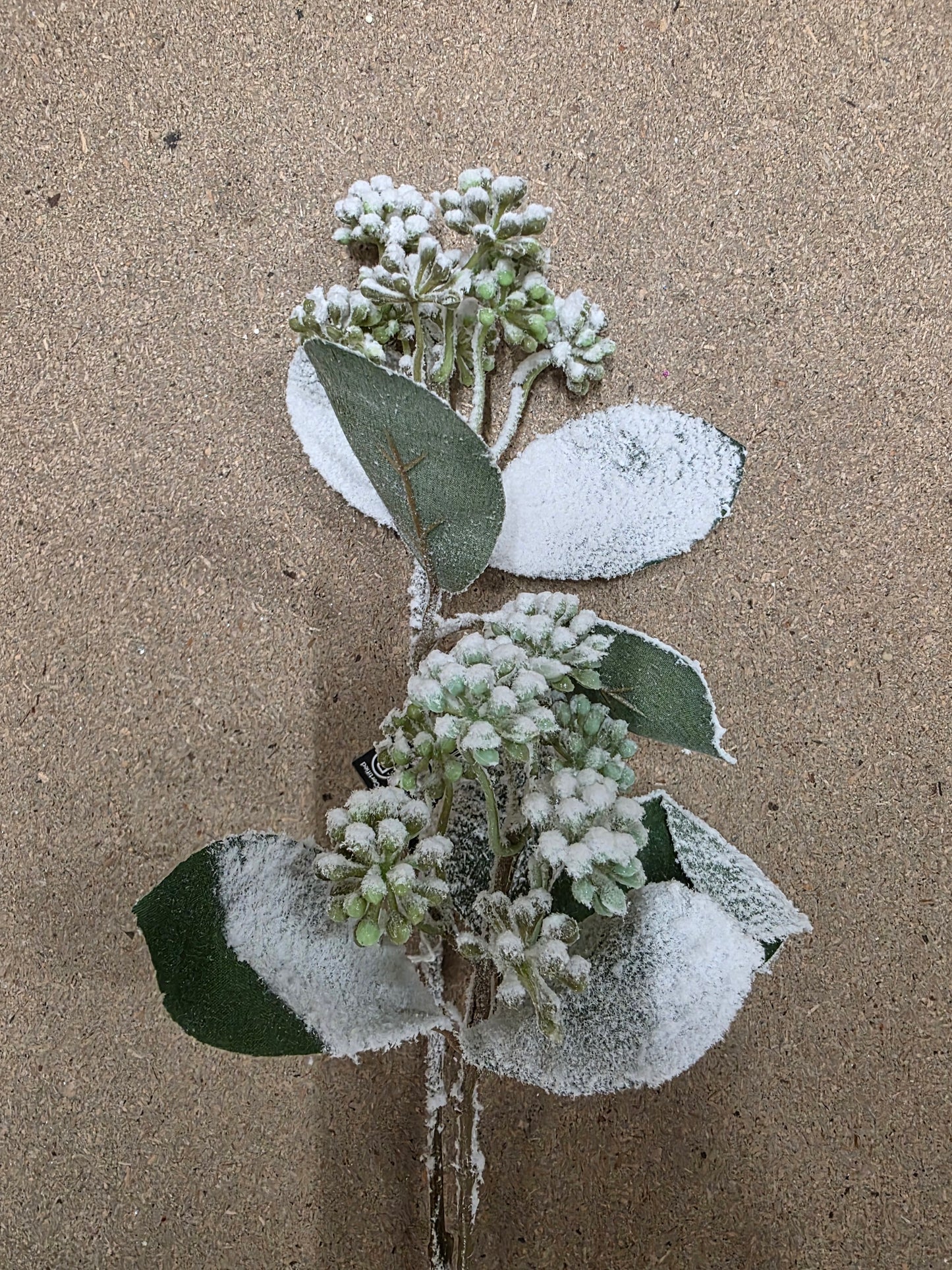 Cornus Branch Green Frosted 71cm