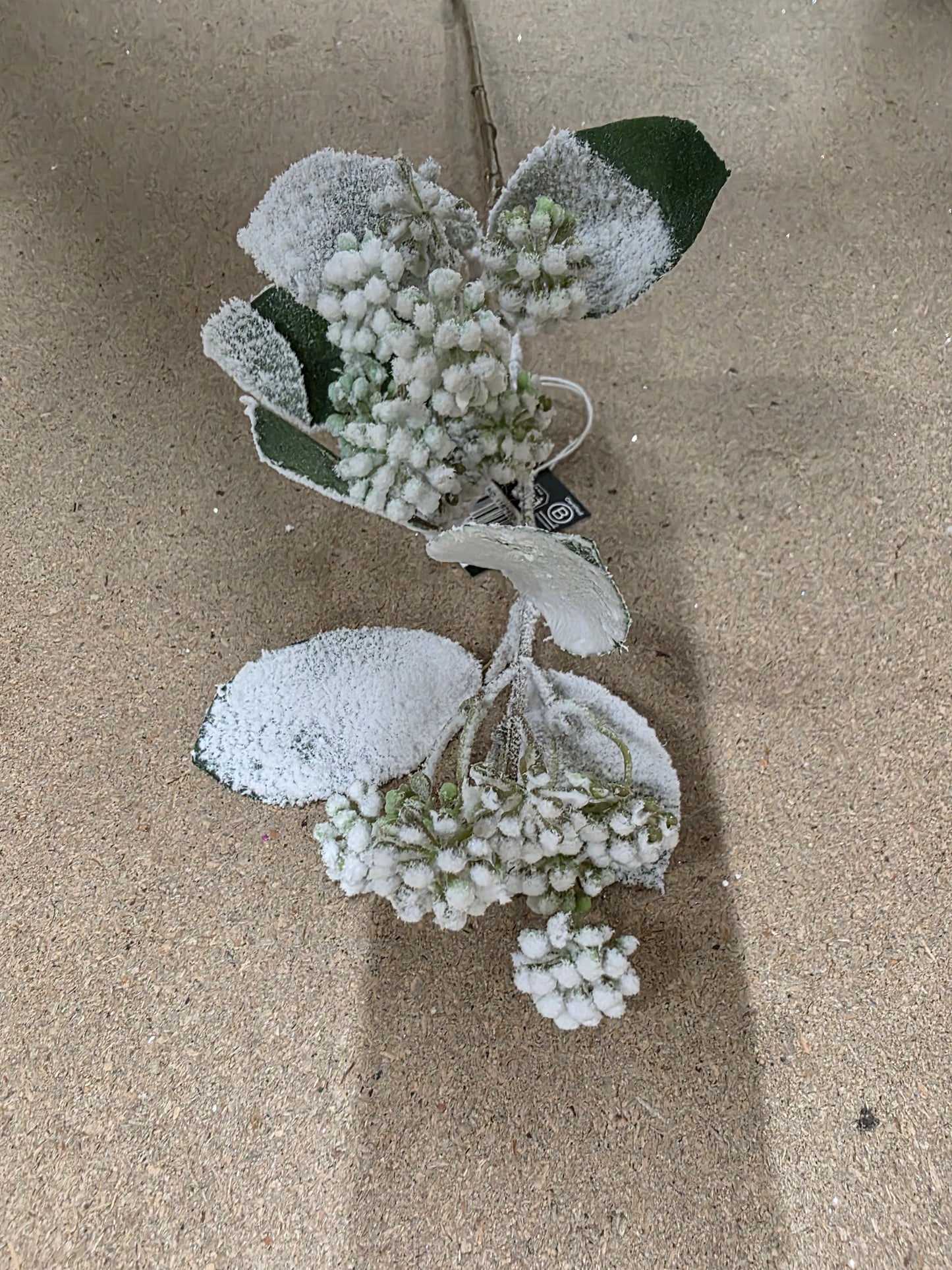 Cornus Branch Green Frosted 71cm