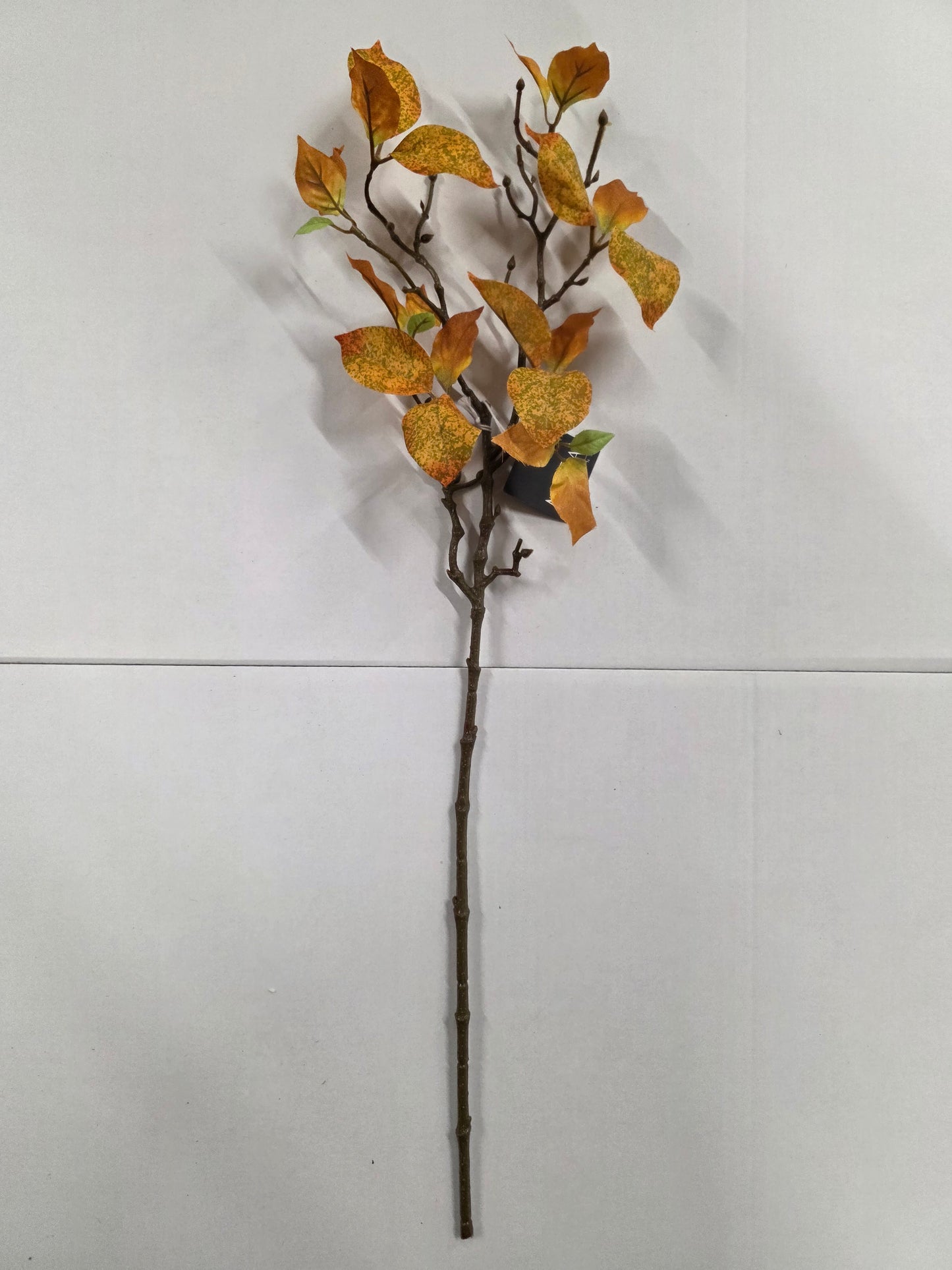 Cornus Branch Yellow 63cm