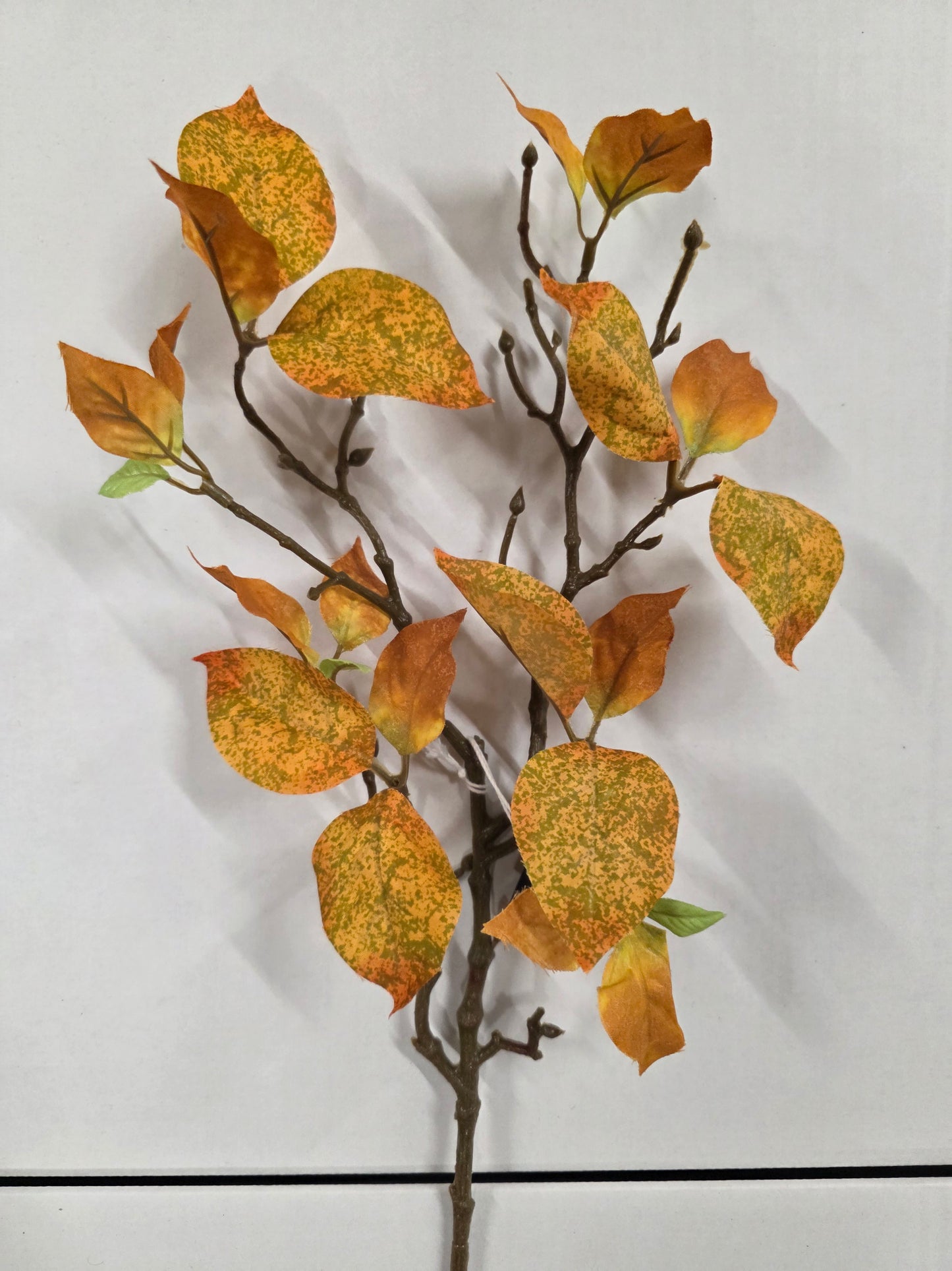 Cornus Branch Yellow 63cm