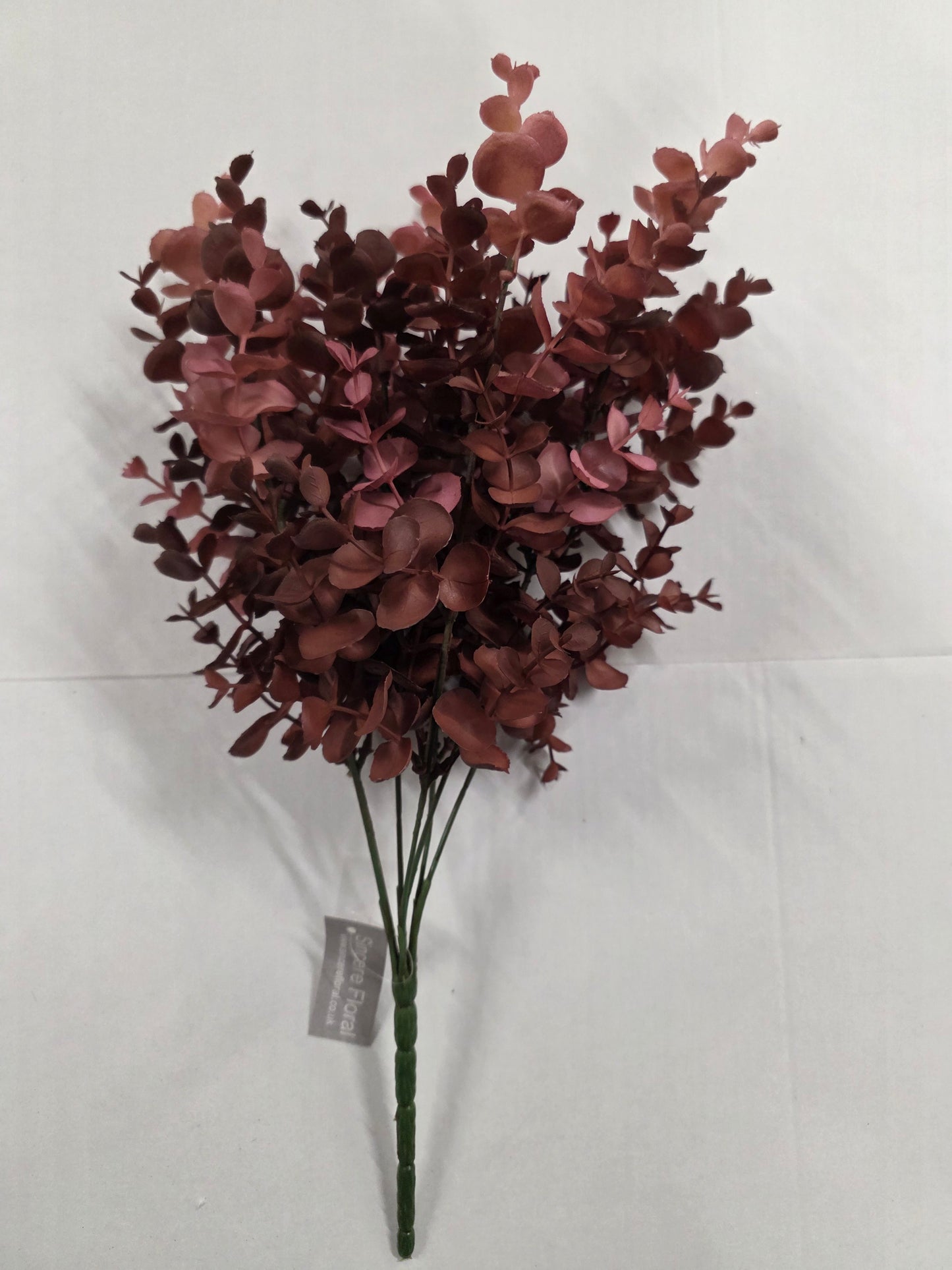 Eucalyptus Autumn Red Bush 46cm X 7