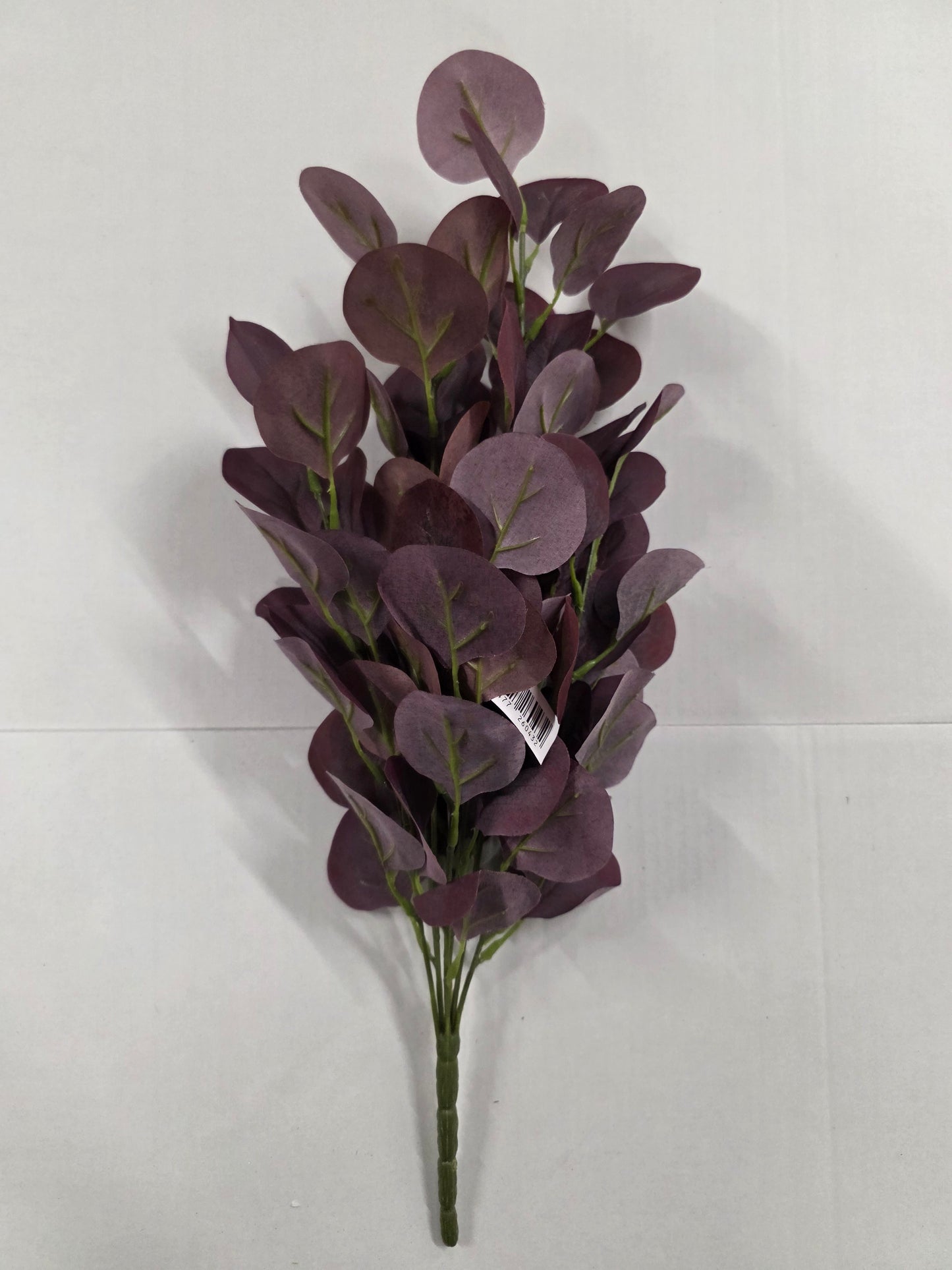 Eucalyptus Bush Red 52cm