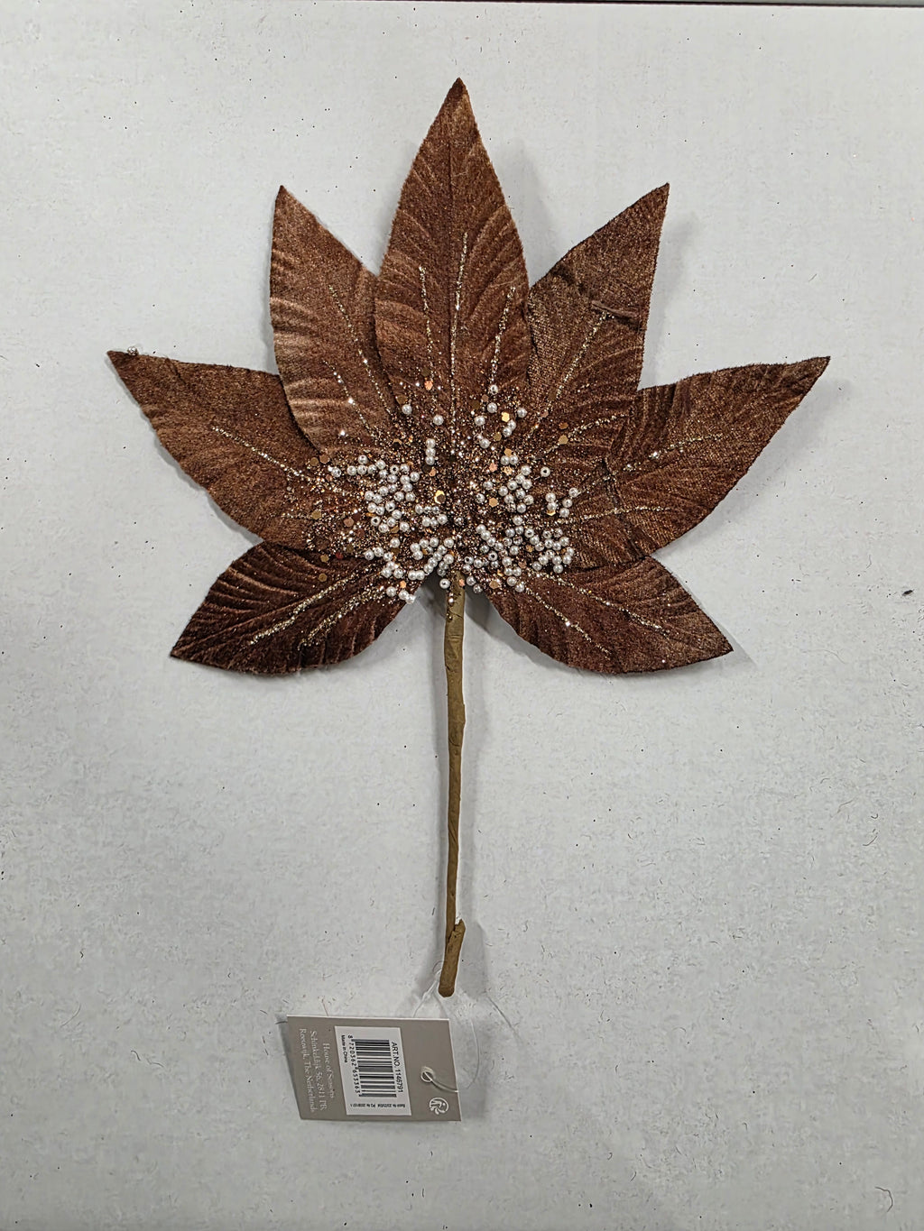 Helleborus Brown 31cm  (PACK OF 3)
