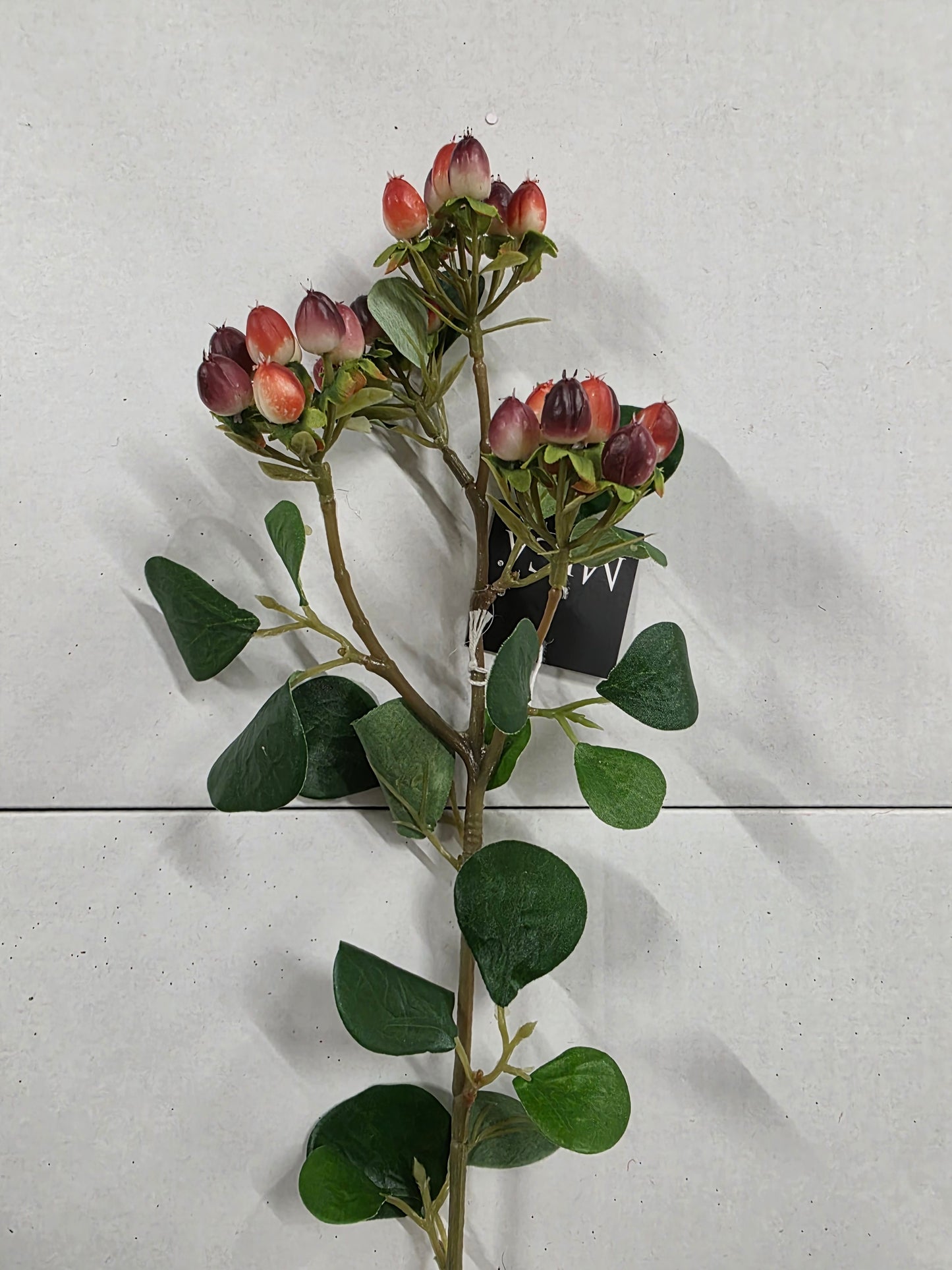 Hypericum Orange 63cm