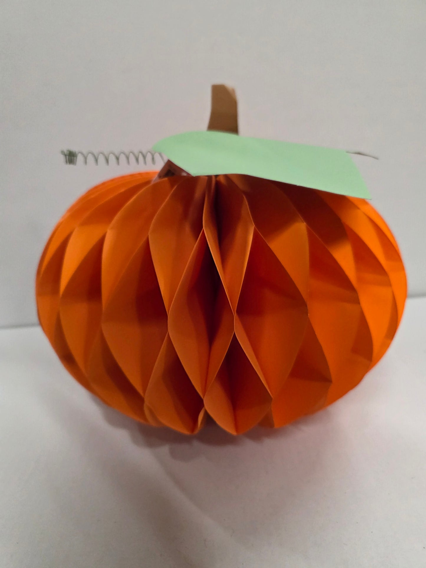 Paper Pumpkin Orange 30x26cm