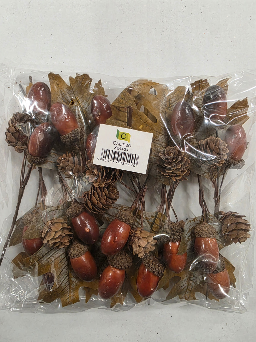 Pick Acorn Cluster 23cm ( Pack of 10 pieces )