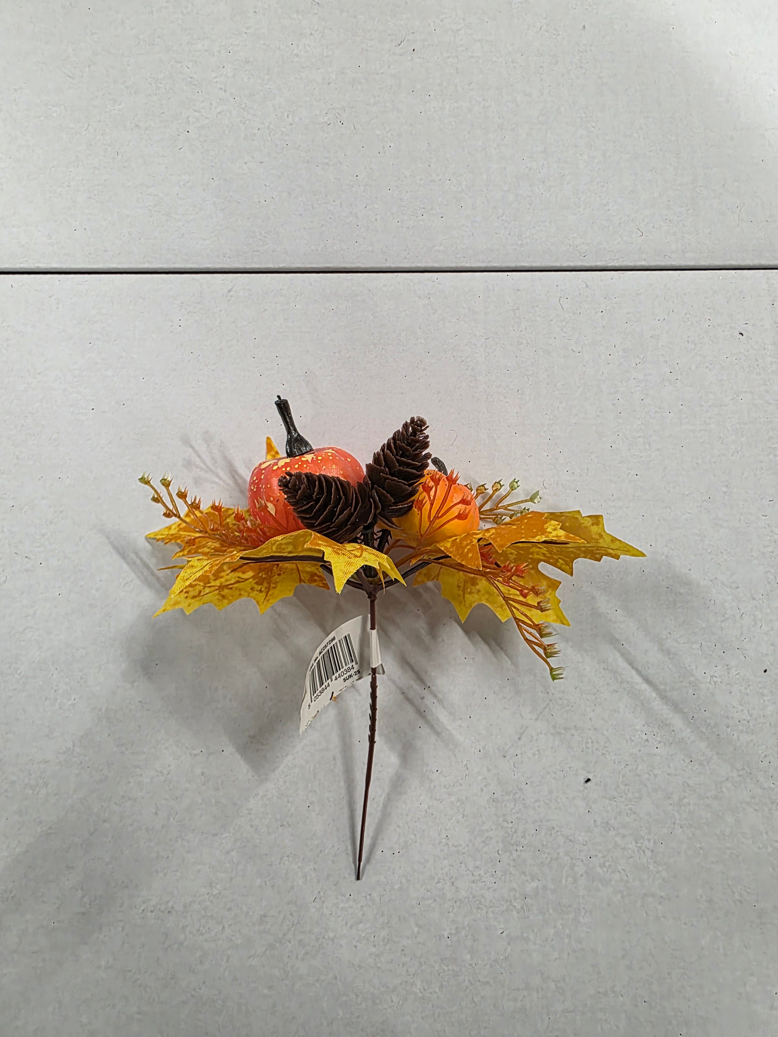 Pick Pumpkin 19cm