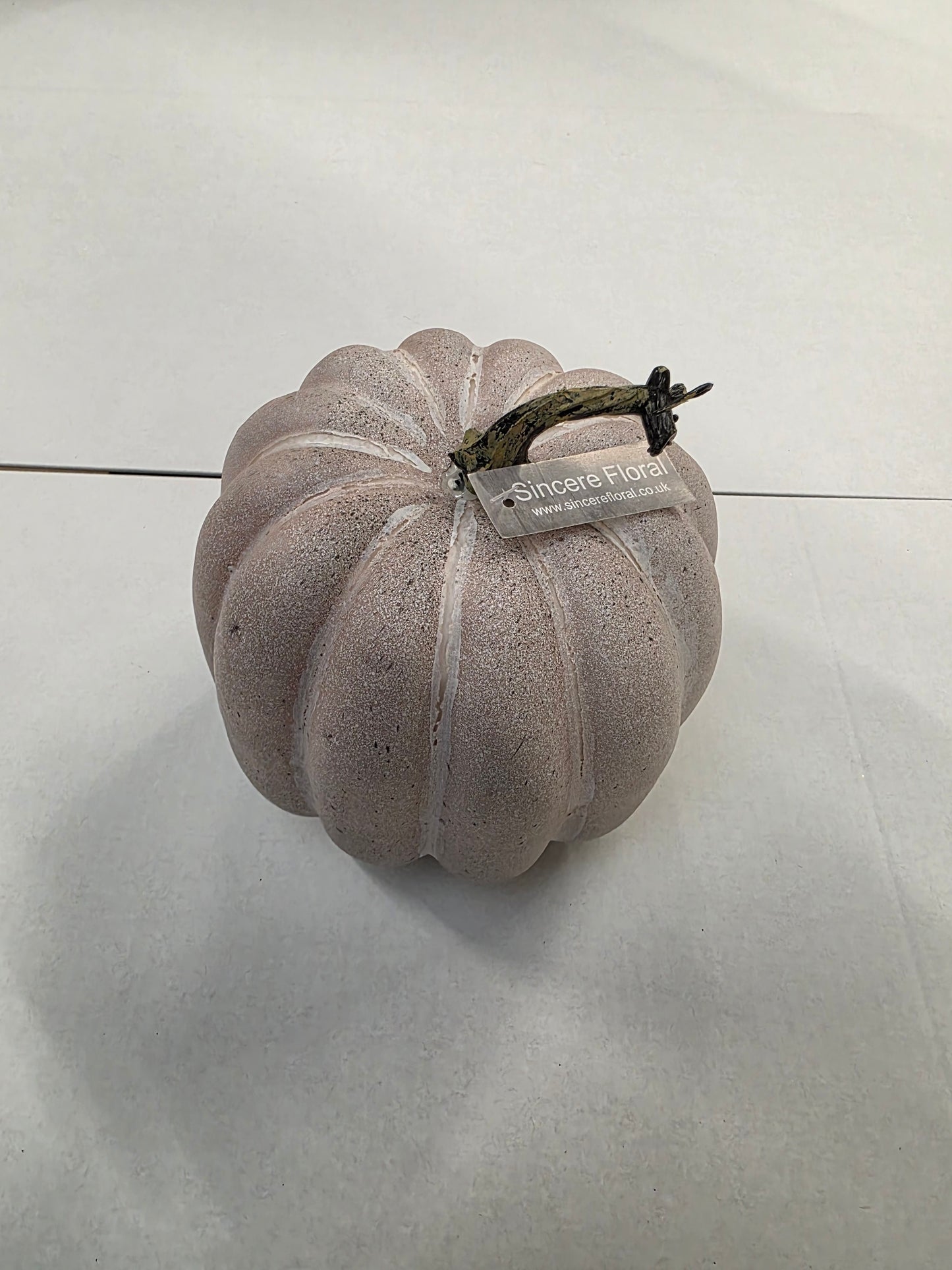 Pumpkin Grey 19cm