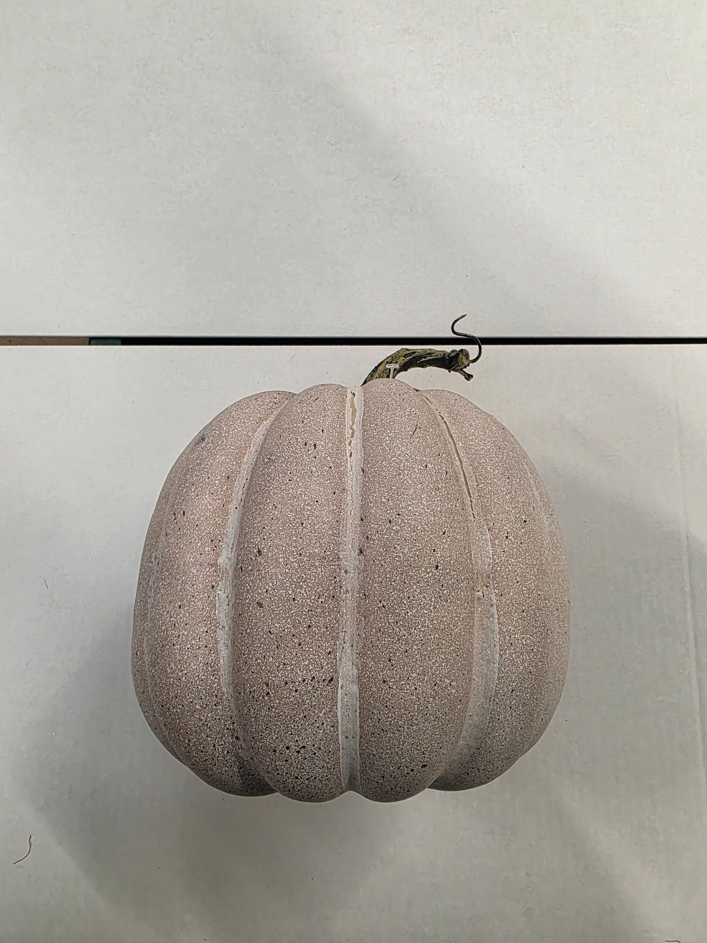 Pumpkin Grey 19cm
