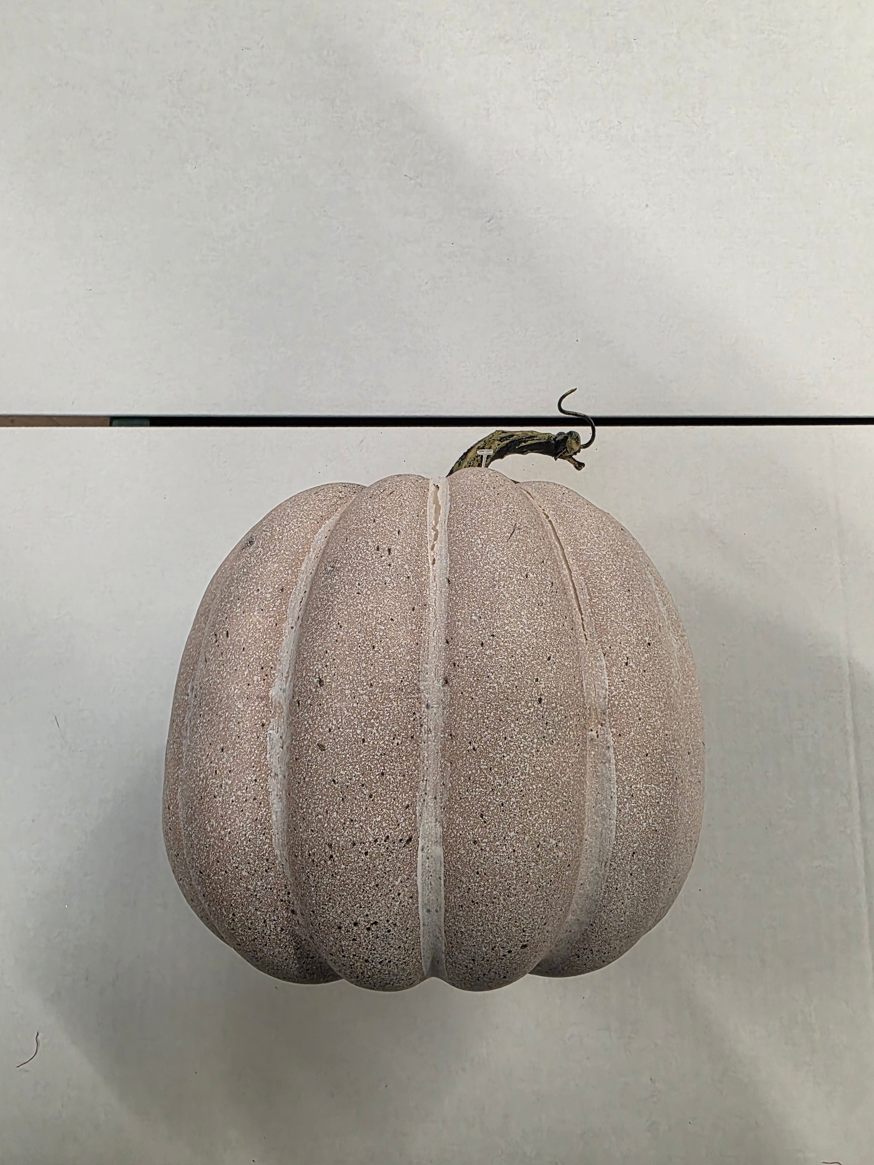 Pumpkin Grey 19cm