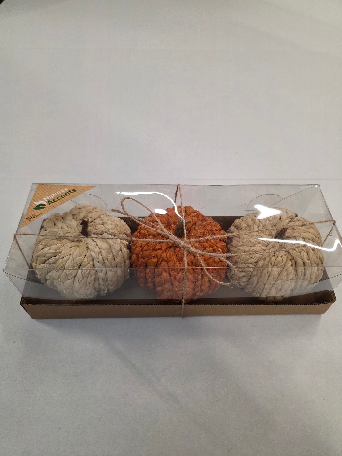 Pumpkins Plaited 10cm X3