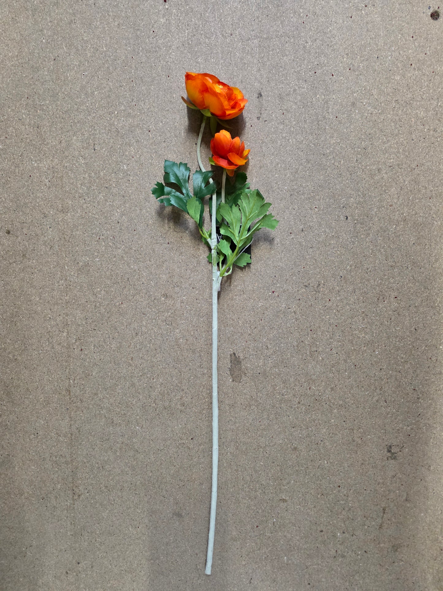 Ranunculus Orange 58cm