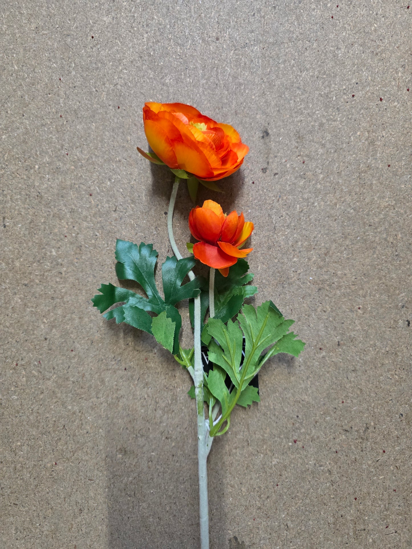 Ranunculus Orange 58cm