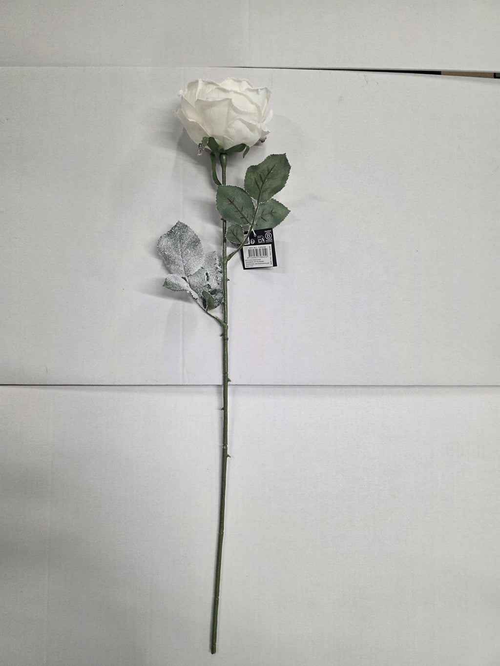 Cabbage Rose White 66cm