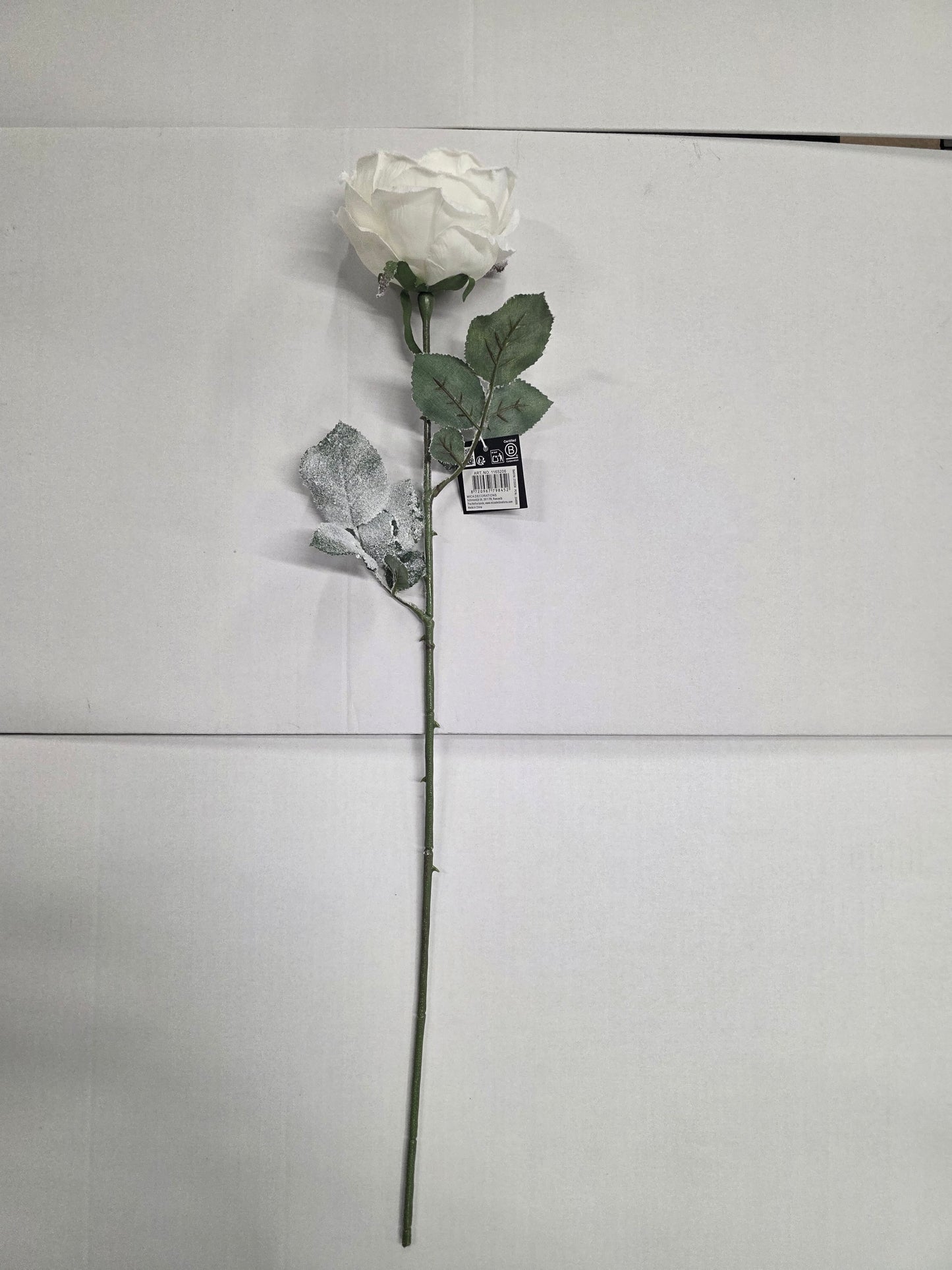 Cabbage Rose White 66cm