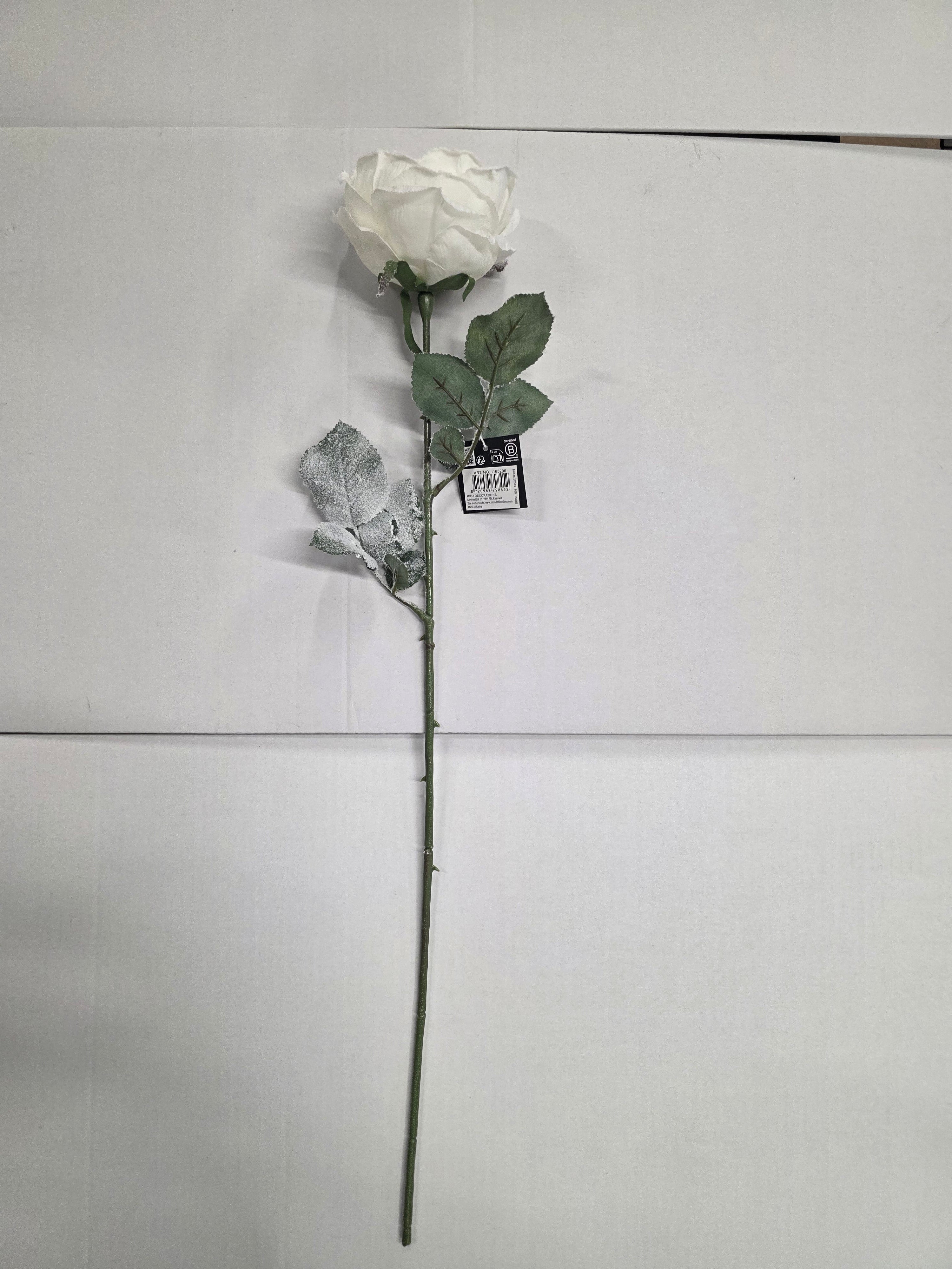 Cabbage Rose White 66cm