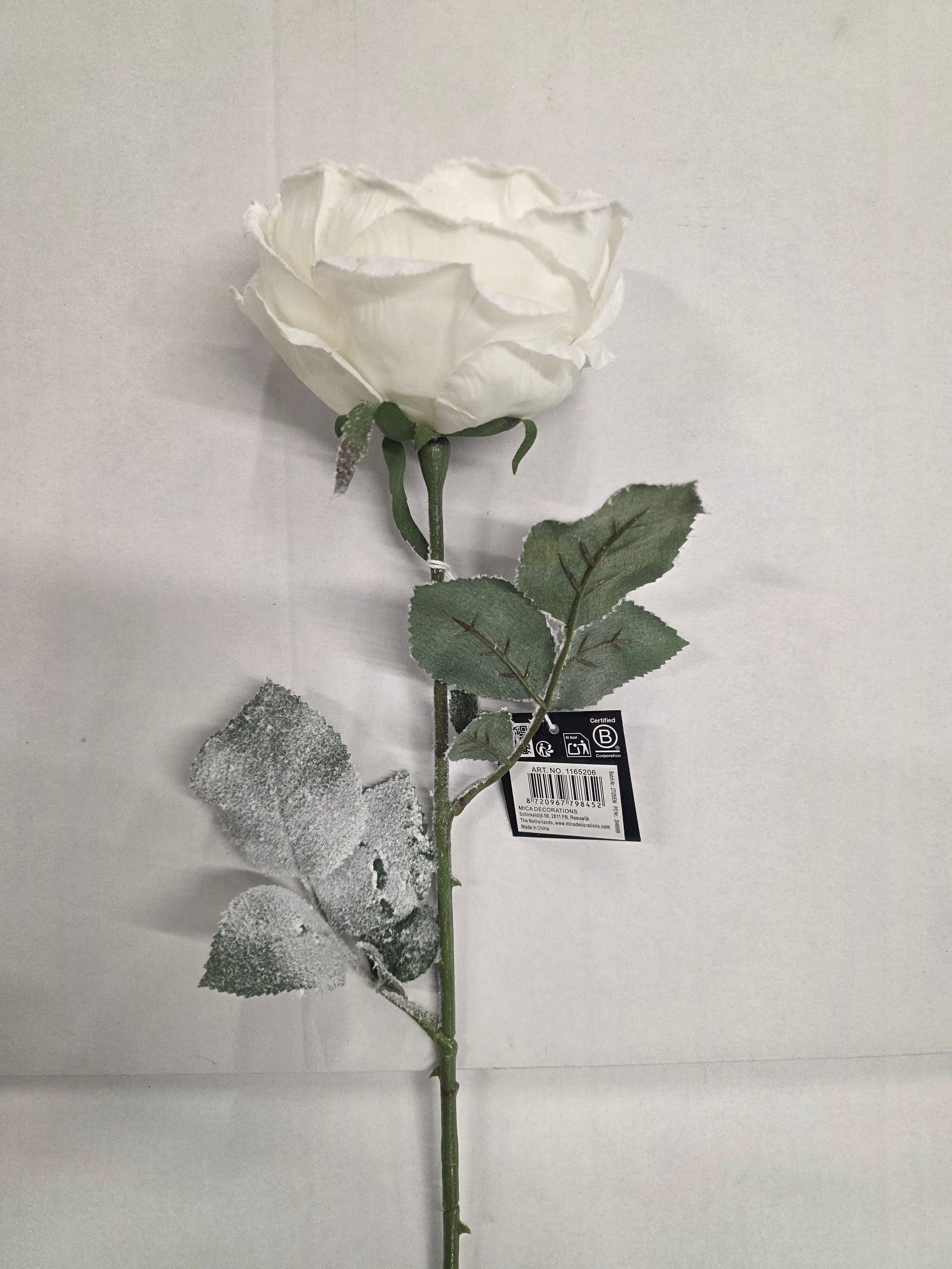 Cabbage Rose White 66cm