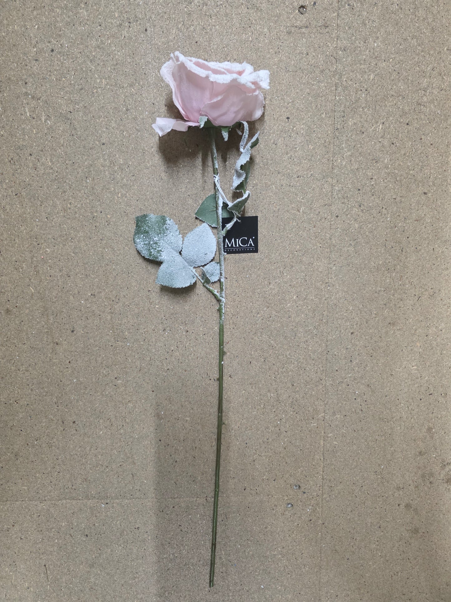 Calista Rose Pink Frost 64cm