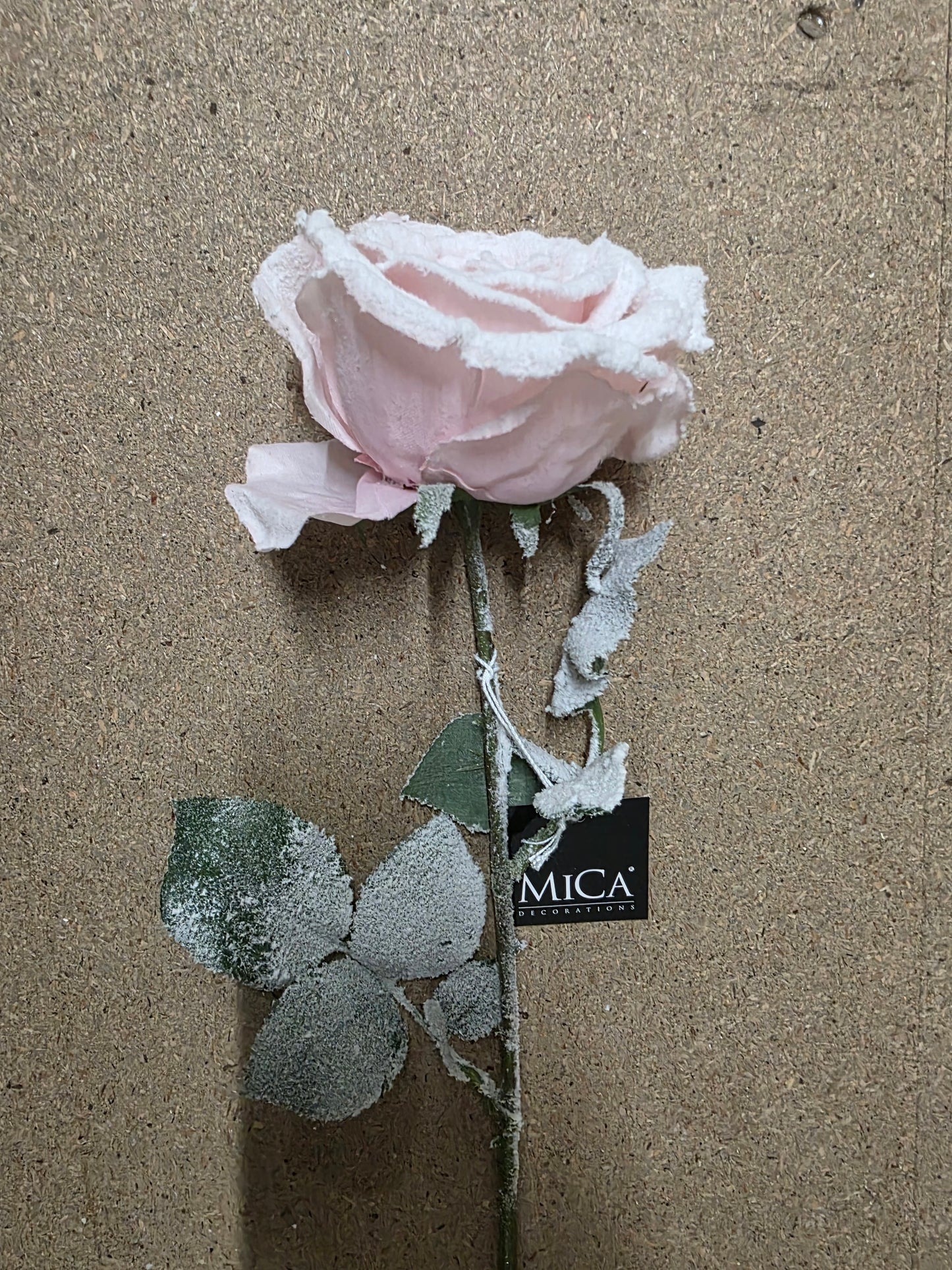 Calista Rose Pink Frost 64cm