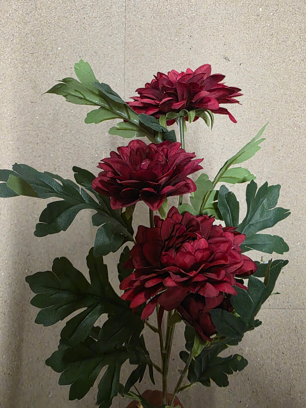 Chrysanthemum Burgundy 83cm