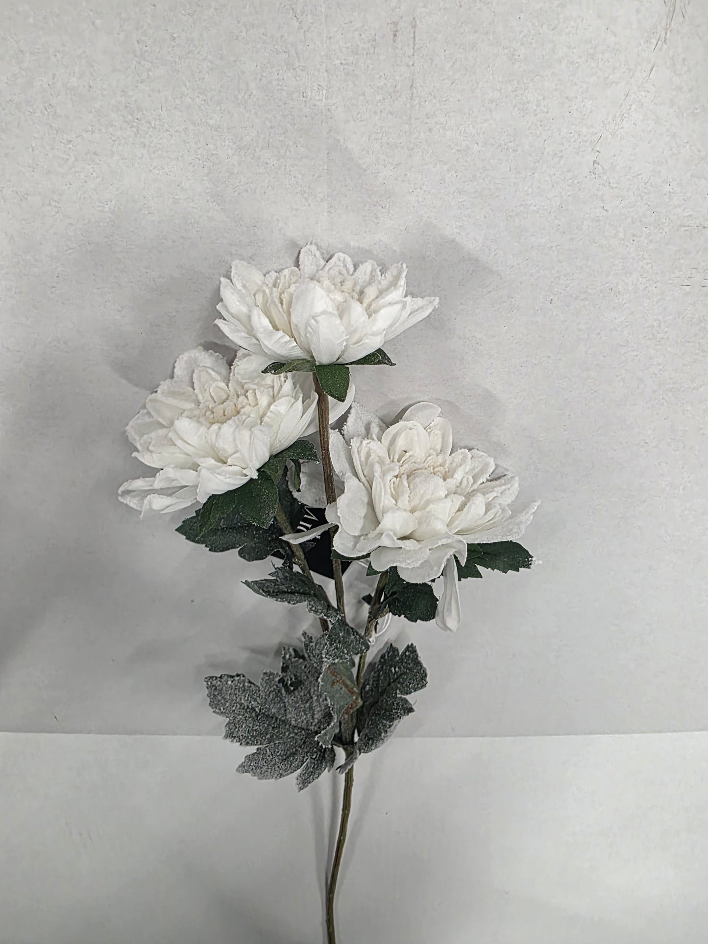 Chrysanthemum White 63cm