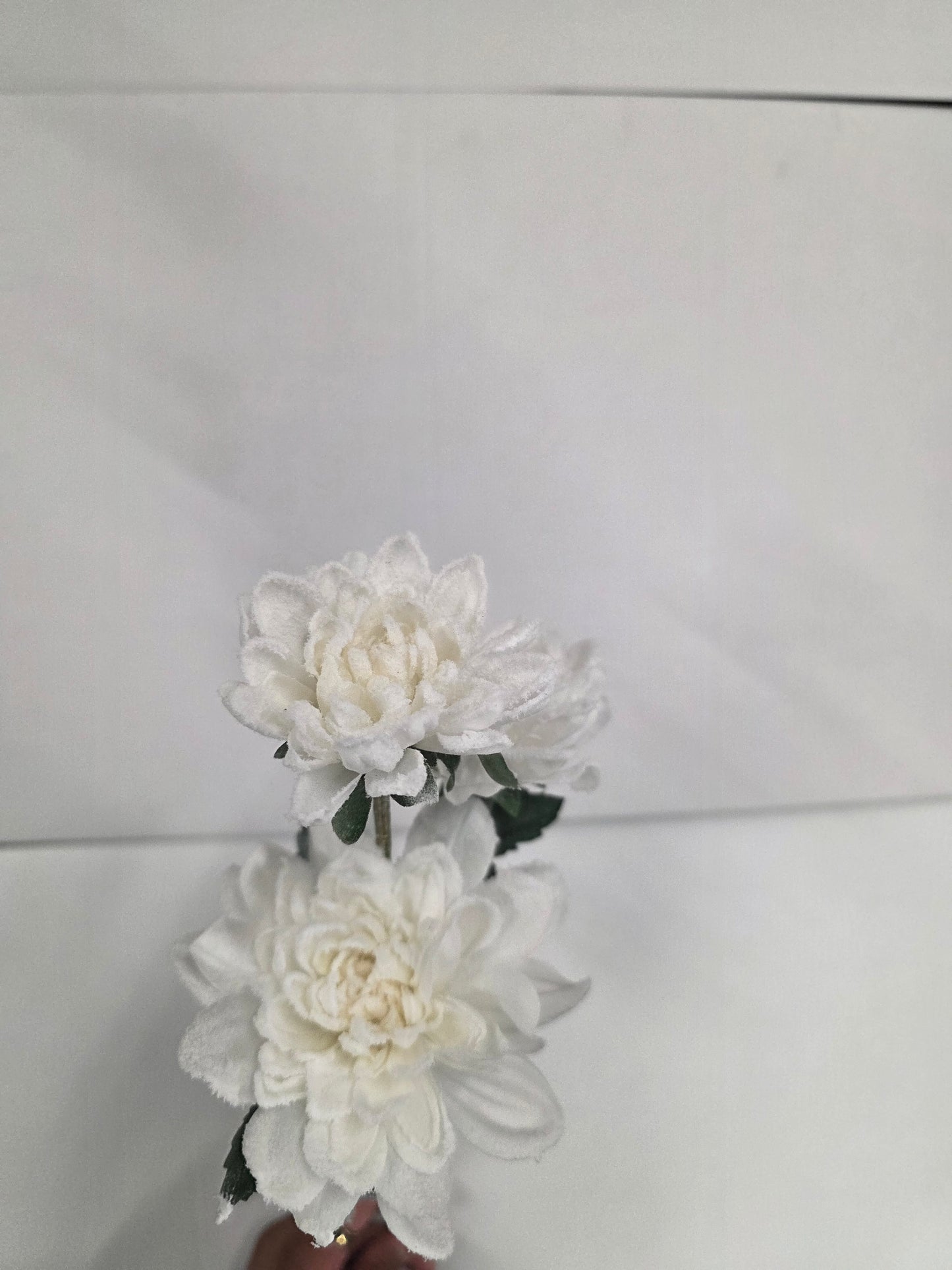 Chrysanthemum White 63cm
