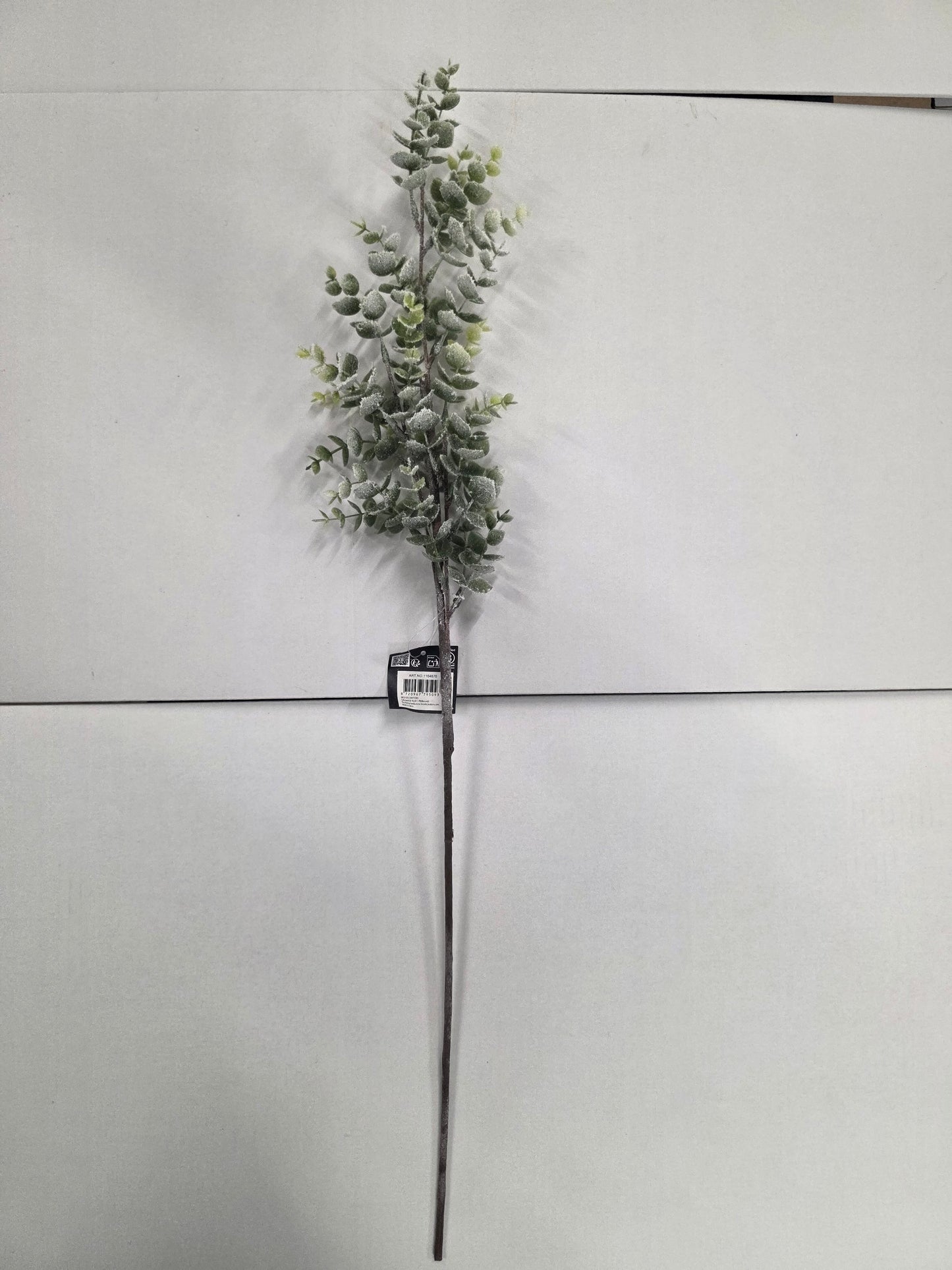 Eucalyptus Frosted 75cm
