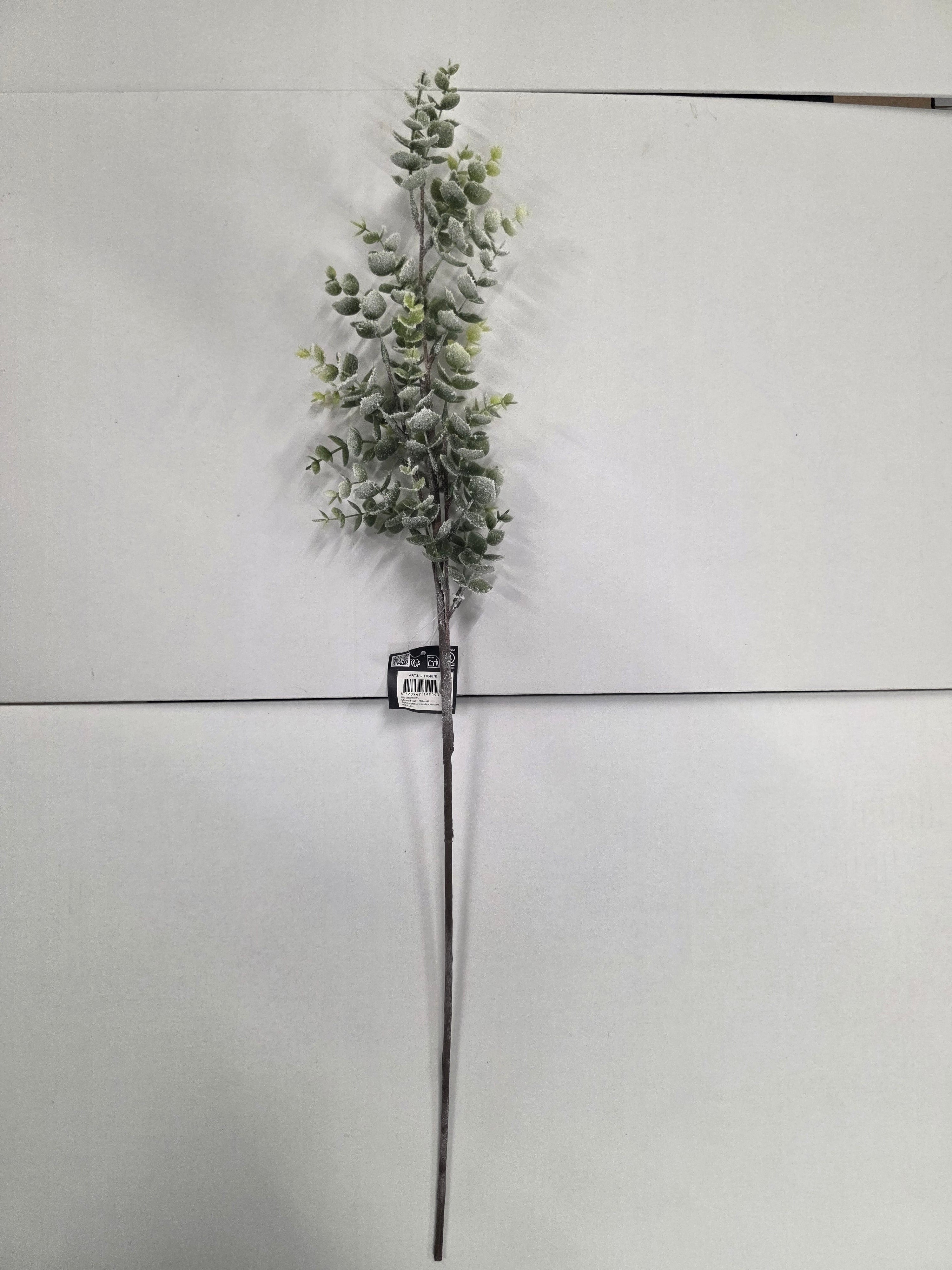 Eucalyptus Frosted 75cm