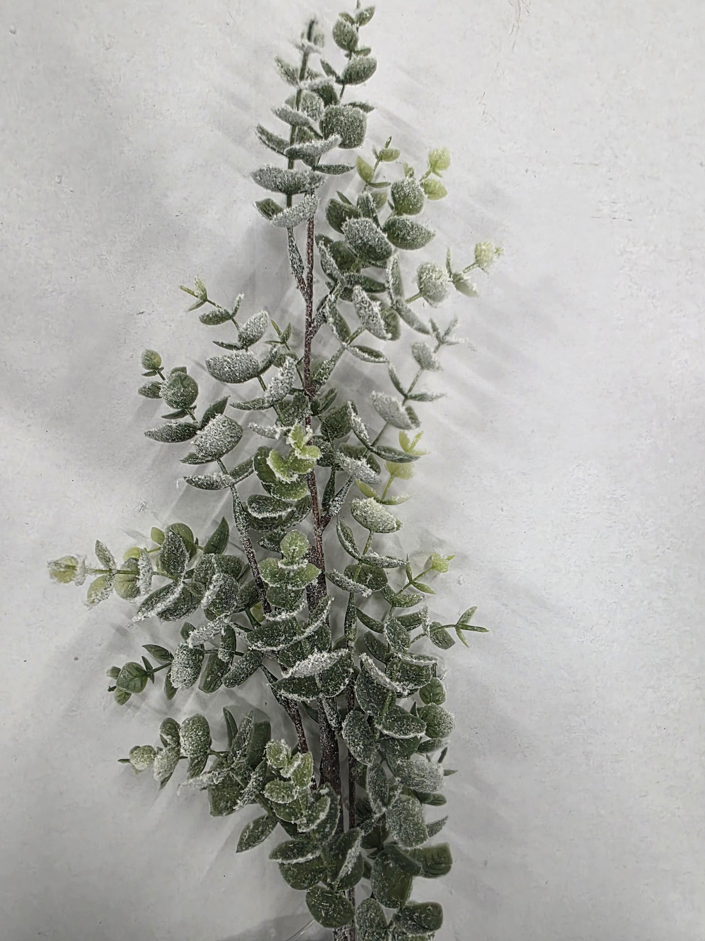 Eucalyptus Frosted 75cm