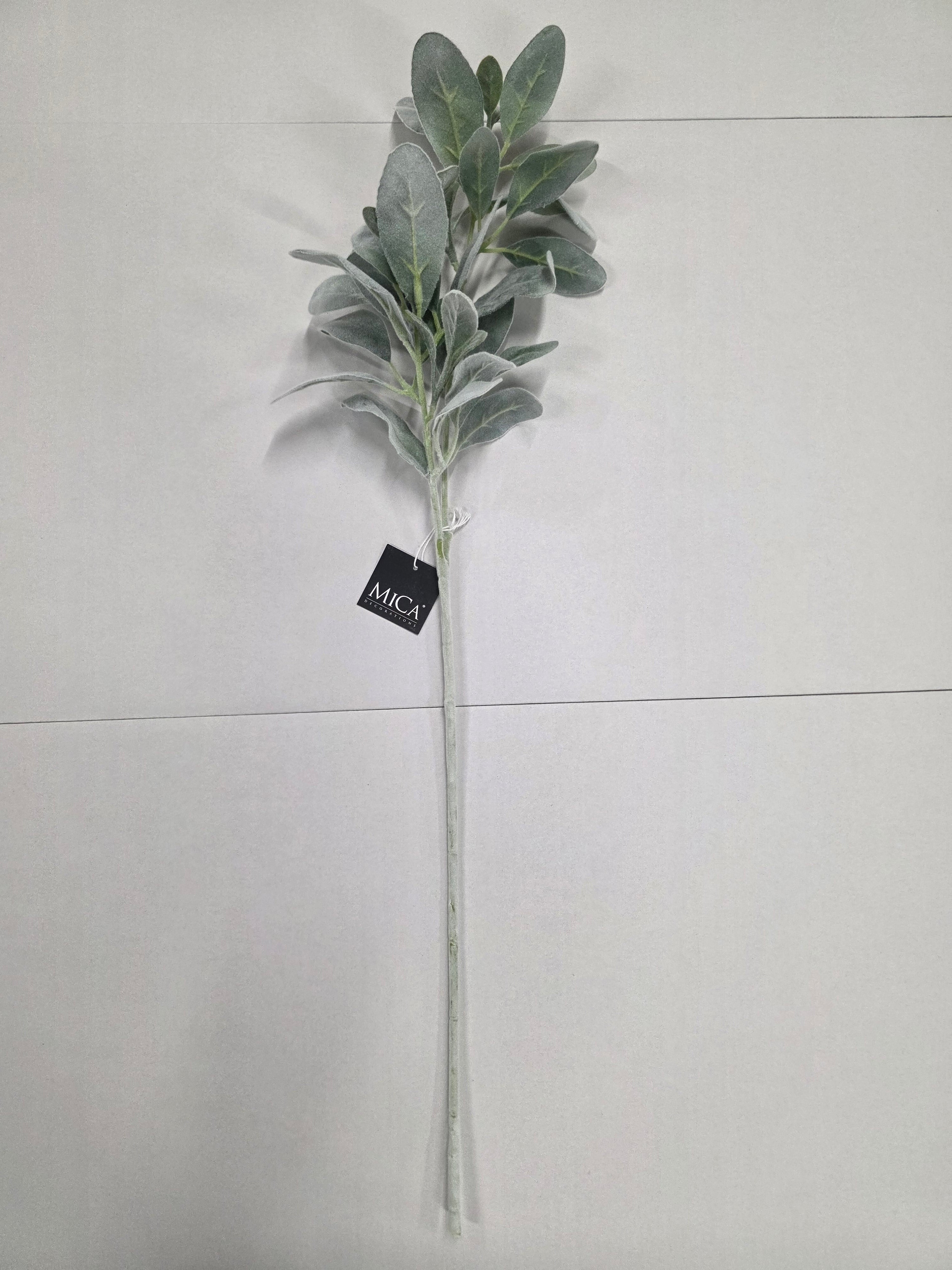 Limonium Green 71cm