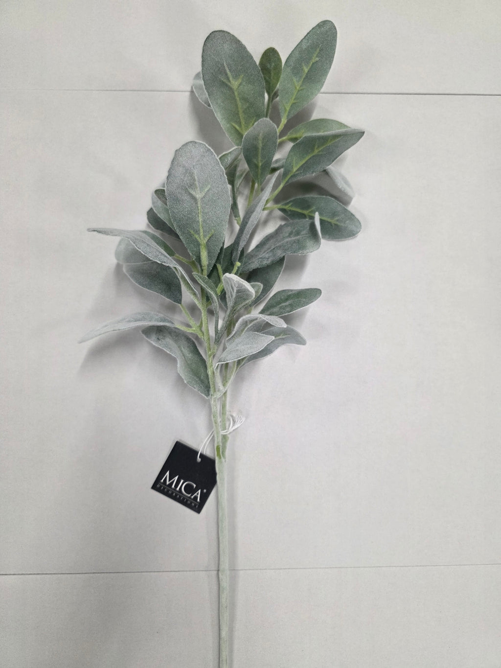 Limonium Green 71cm