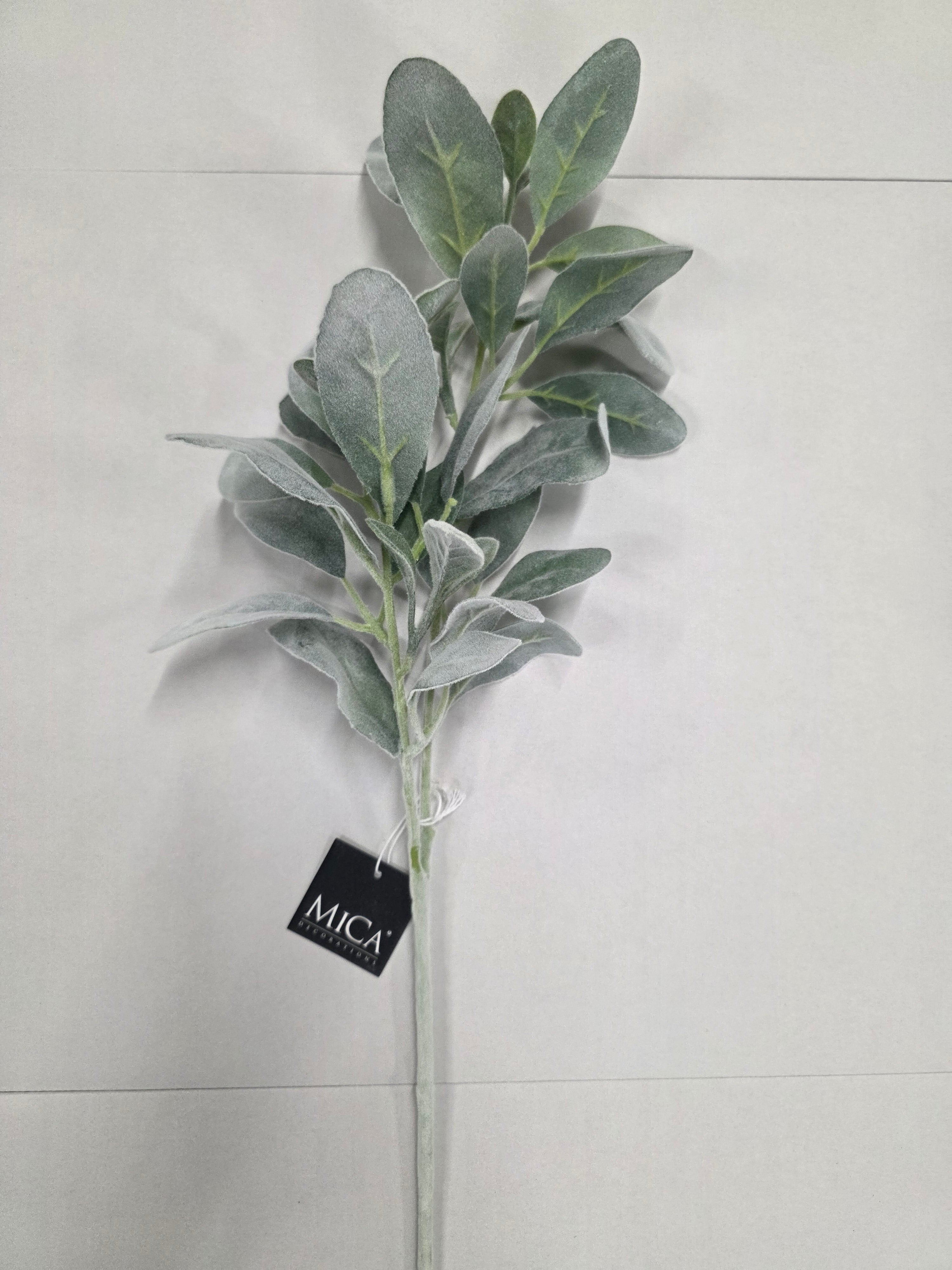 Limonium Green 71cm
