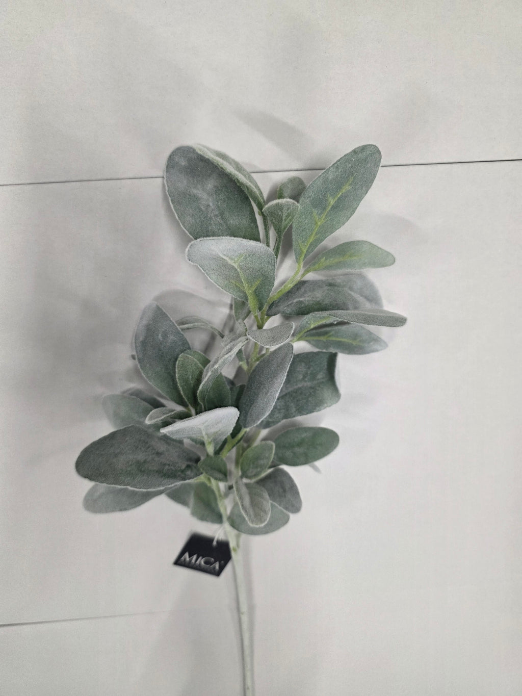 Limonium Green 71cm