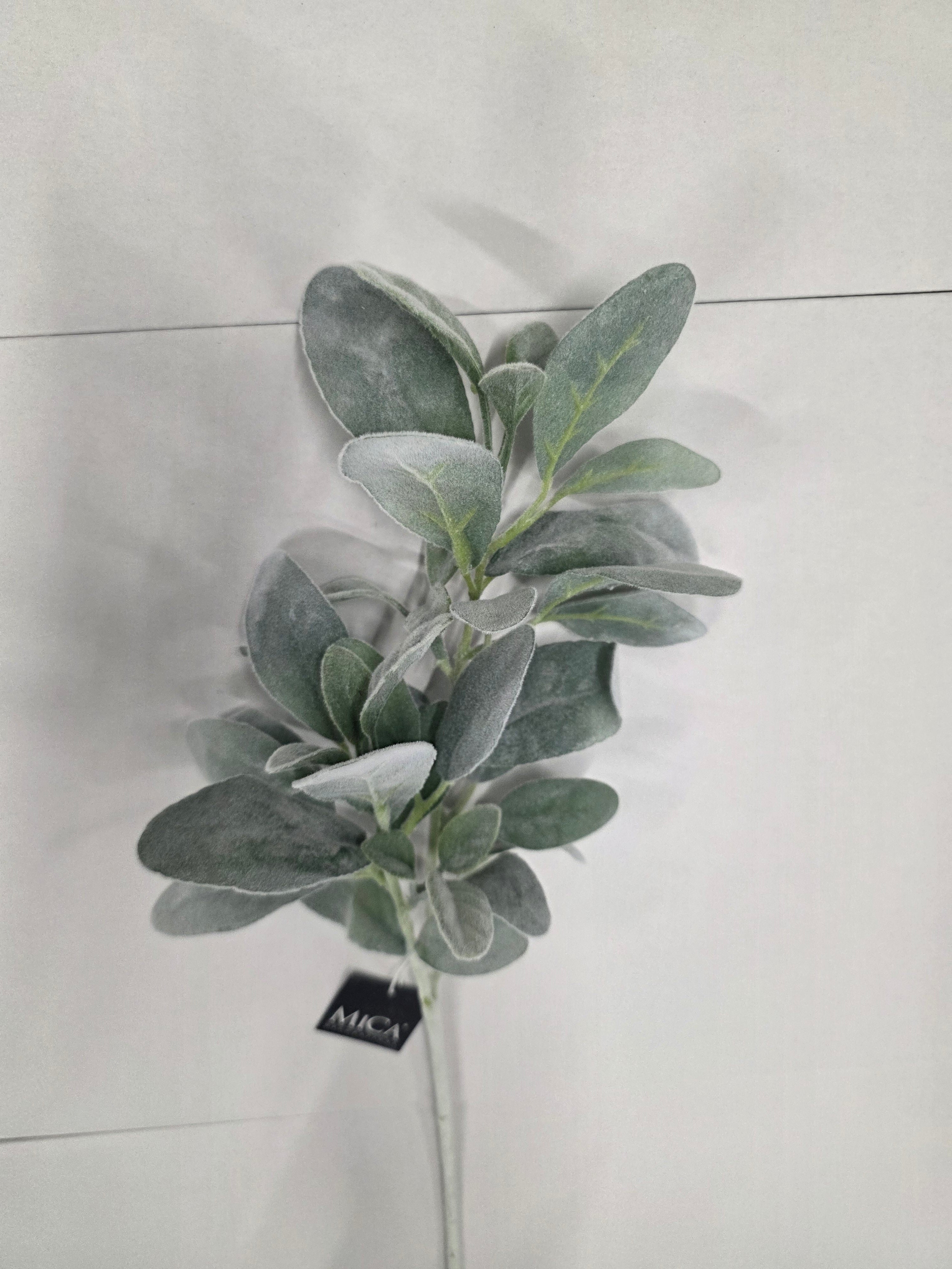 Limonium Green 71cm