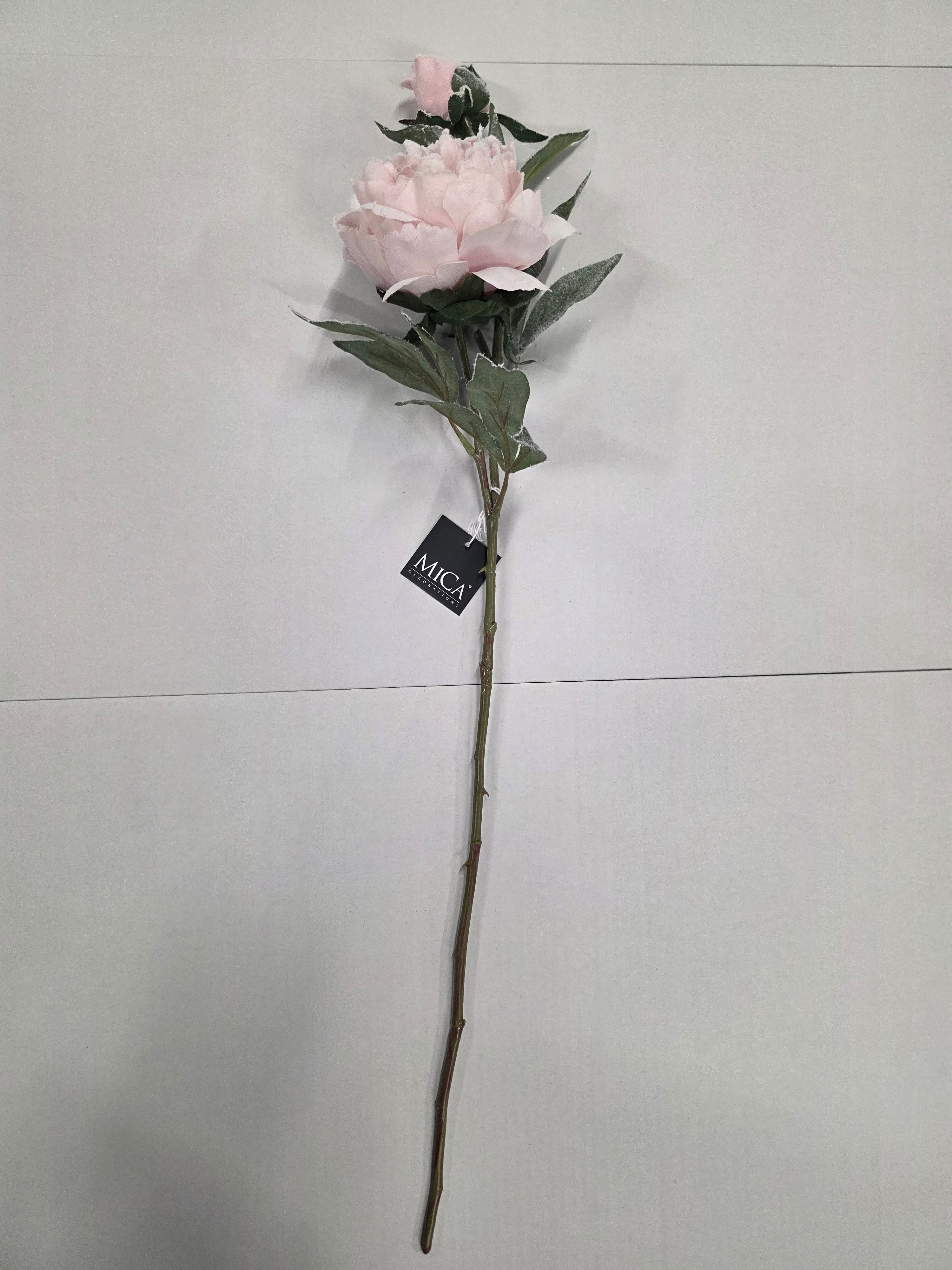 Peony Pink Frosted 70cm