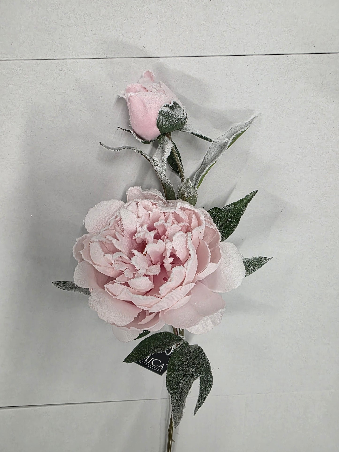 Peony Pink Frosted 70cm