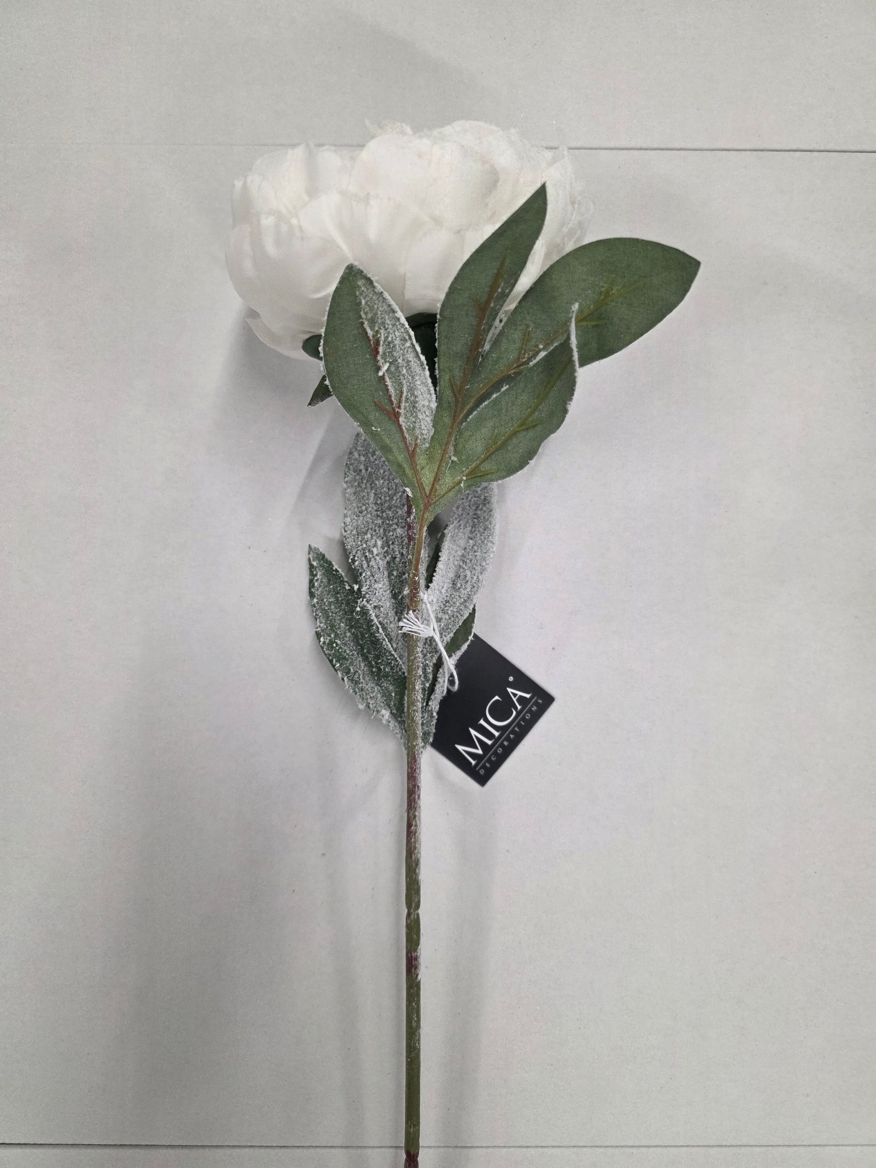 Peony White 70cm
