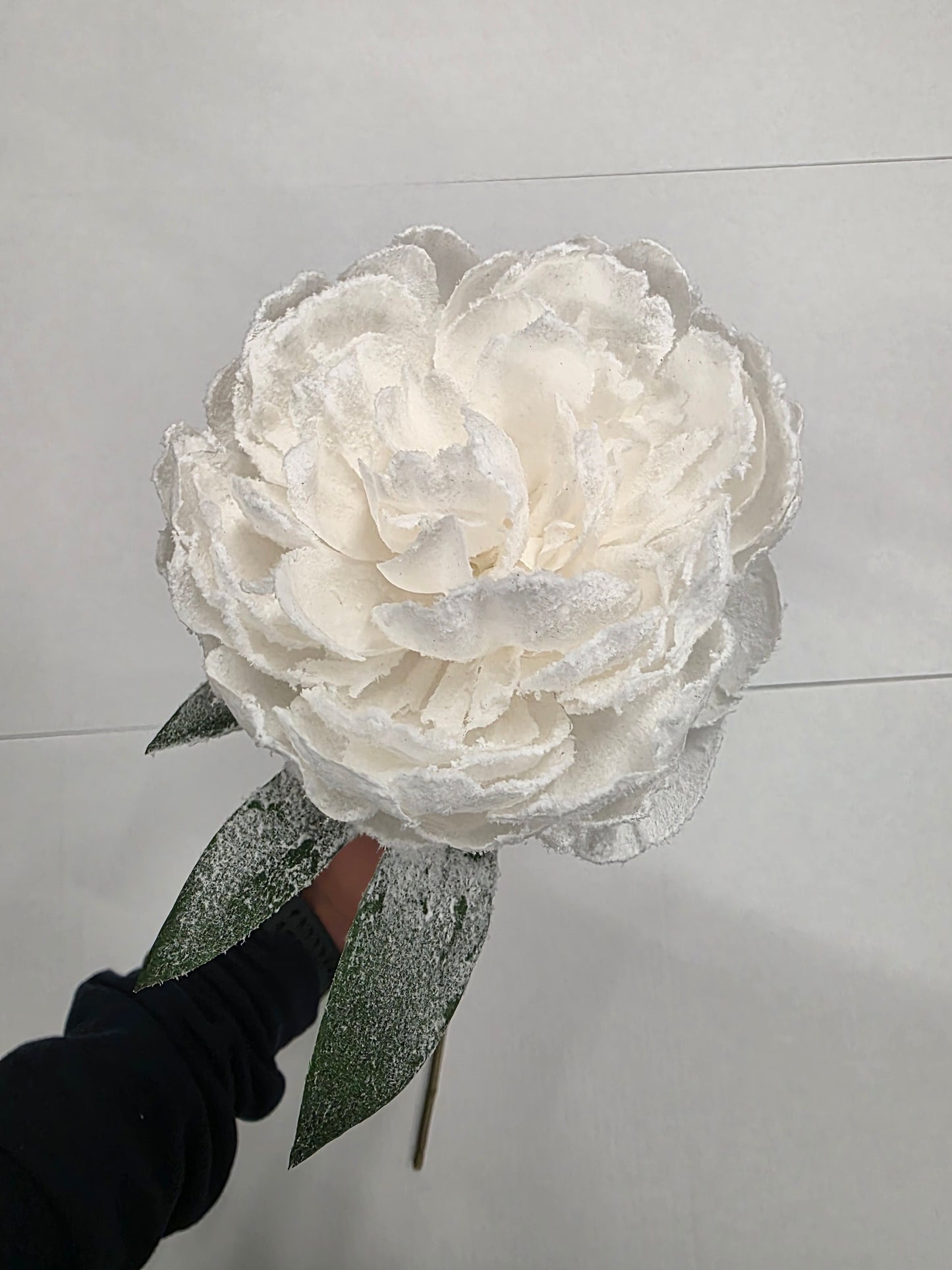 Peony White 70cm