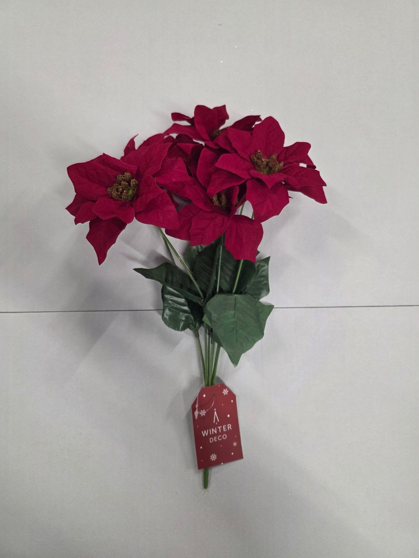 Poinsettia Bush Red X7