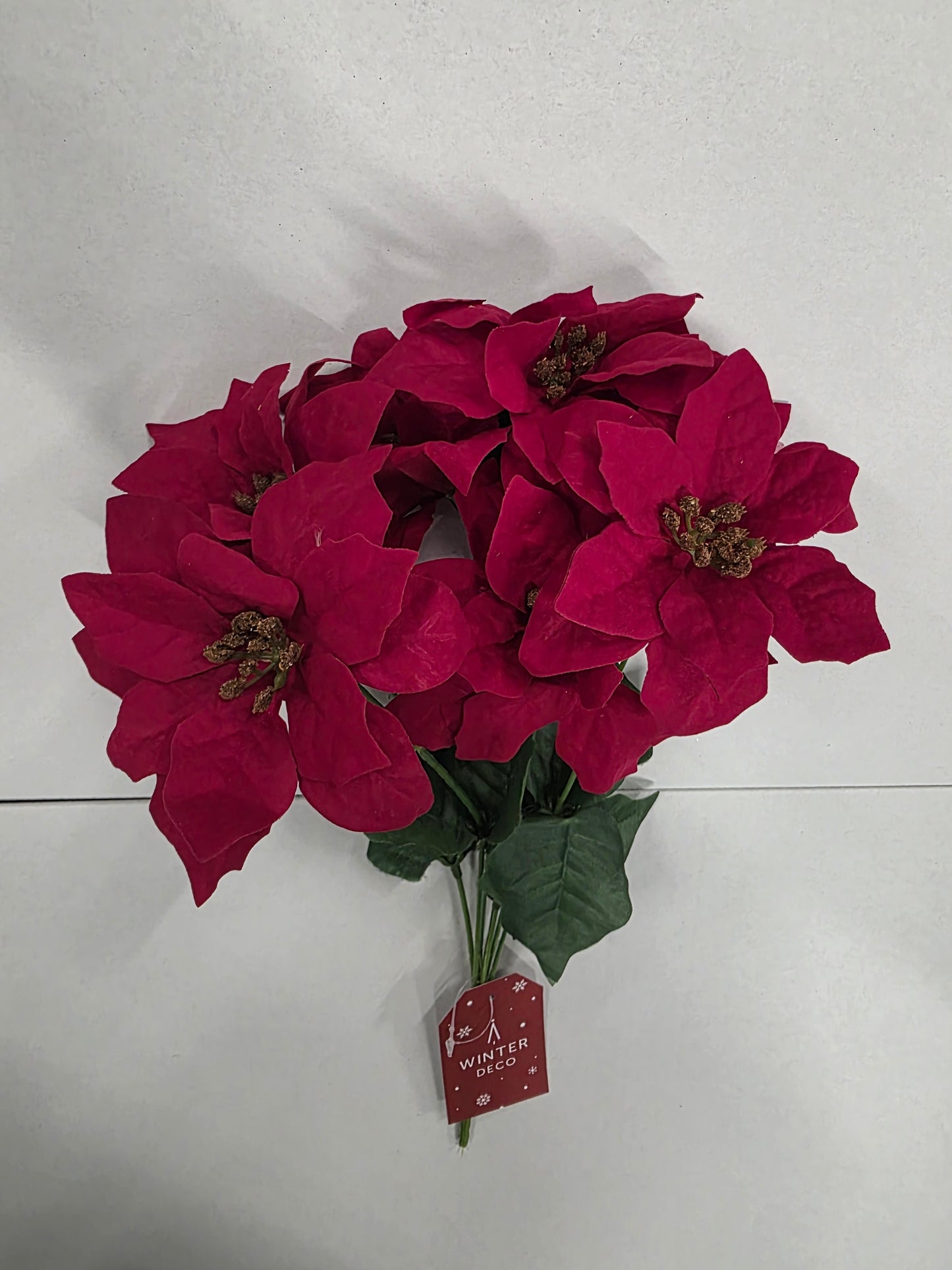 Poinsettia Bush Red X7