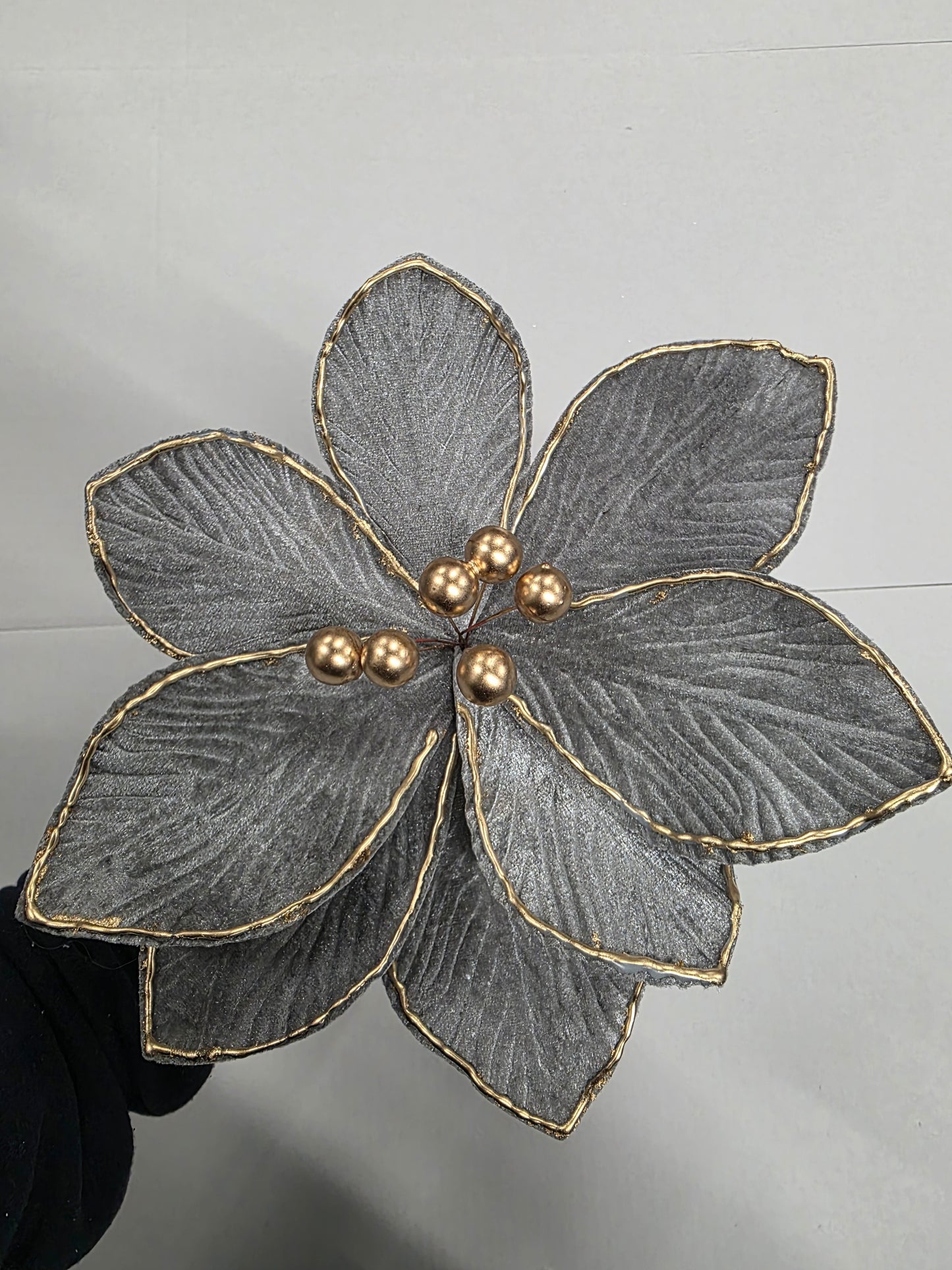 Poinsettia Graphite Gold Edge 25cm