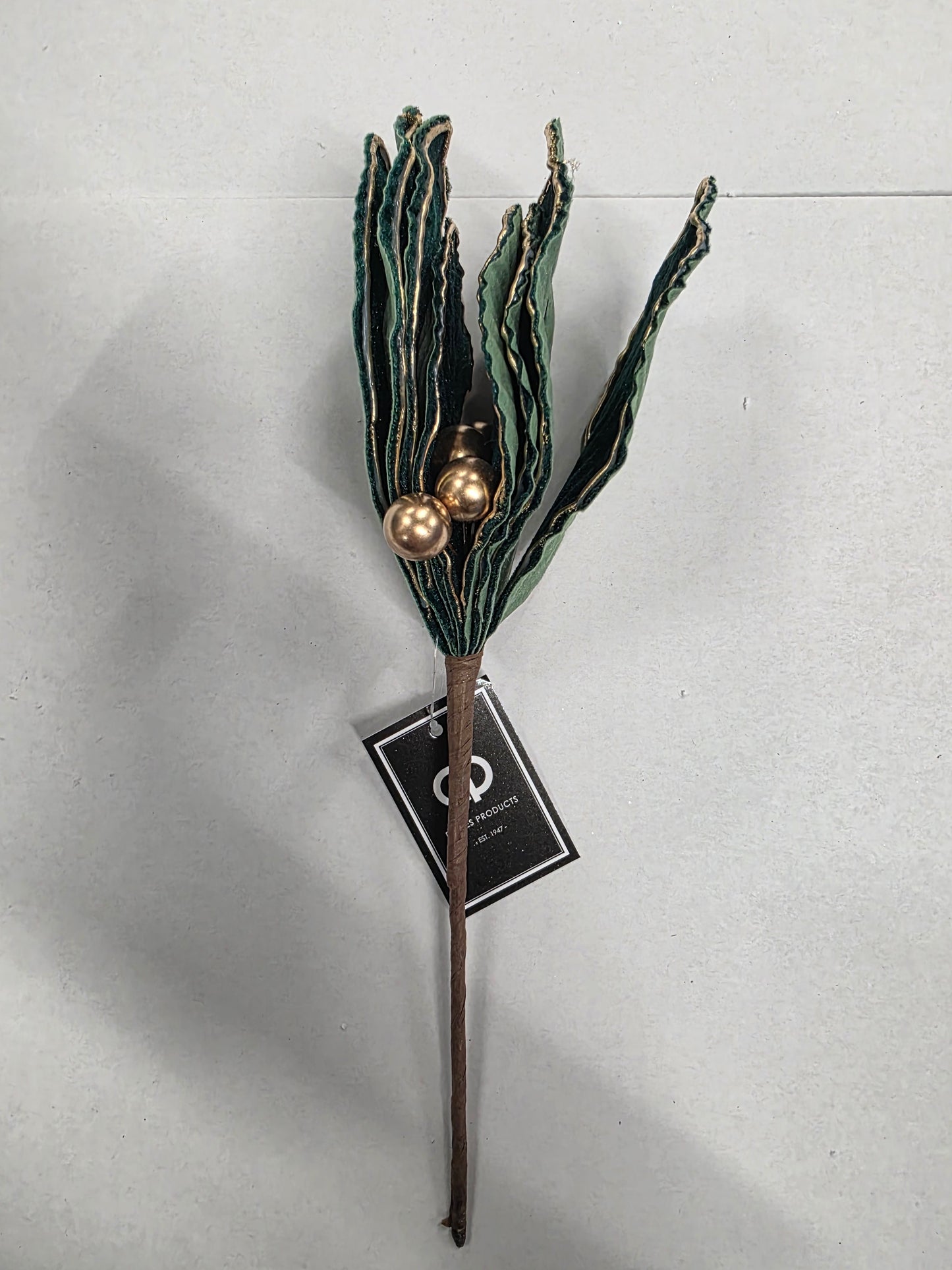 Poinsettia Green Gold Edge 25cm