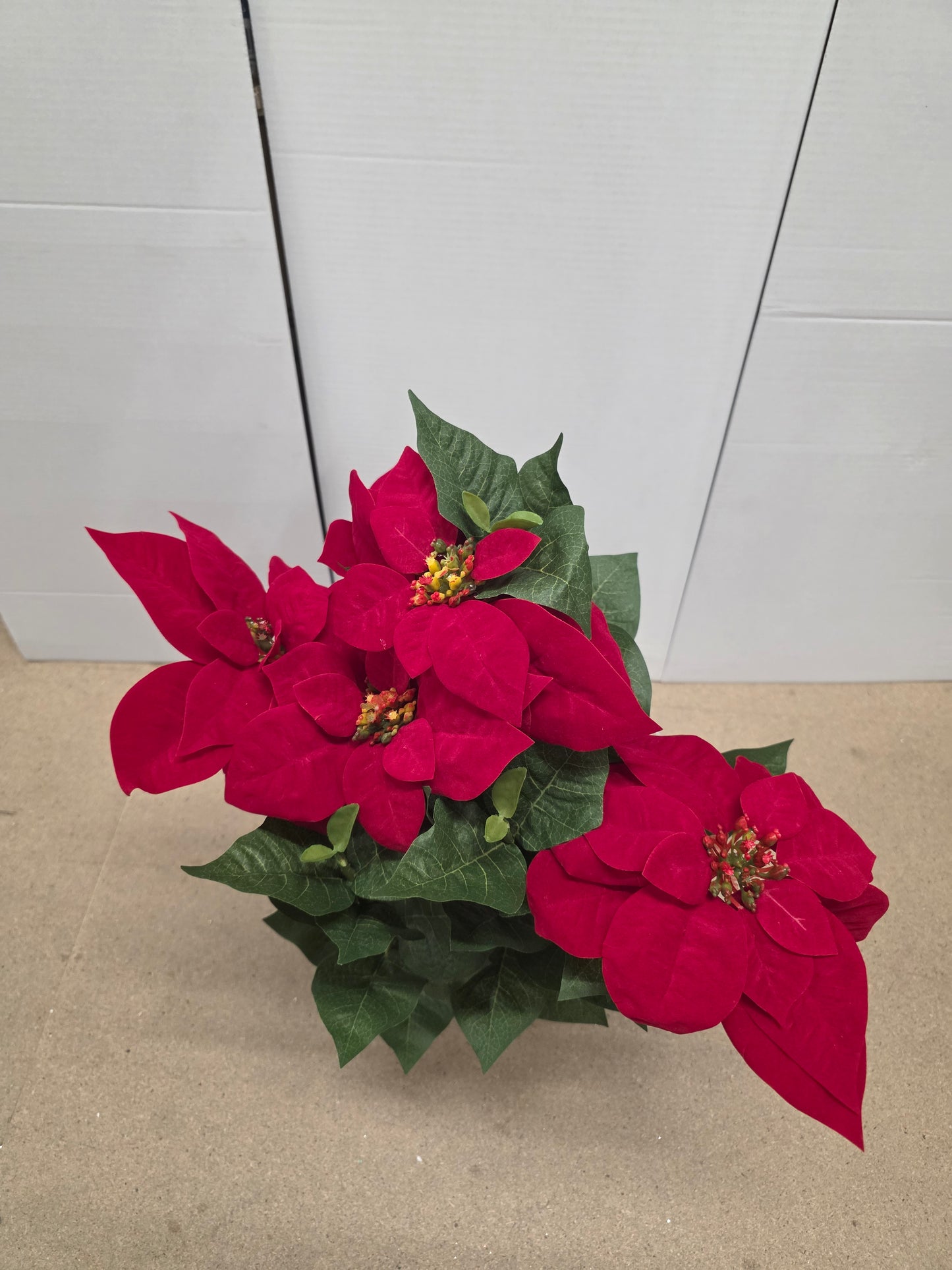 Poinsettia In Pot Red 60x40cm
