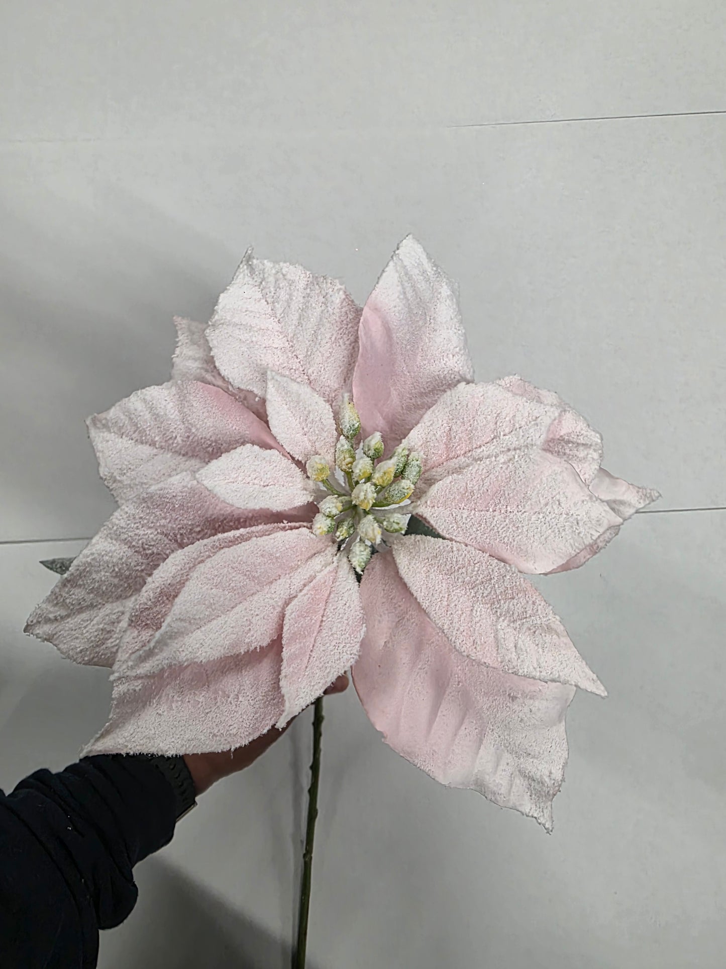 Poinsettia Pink Frosted 65cm