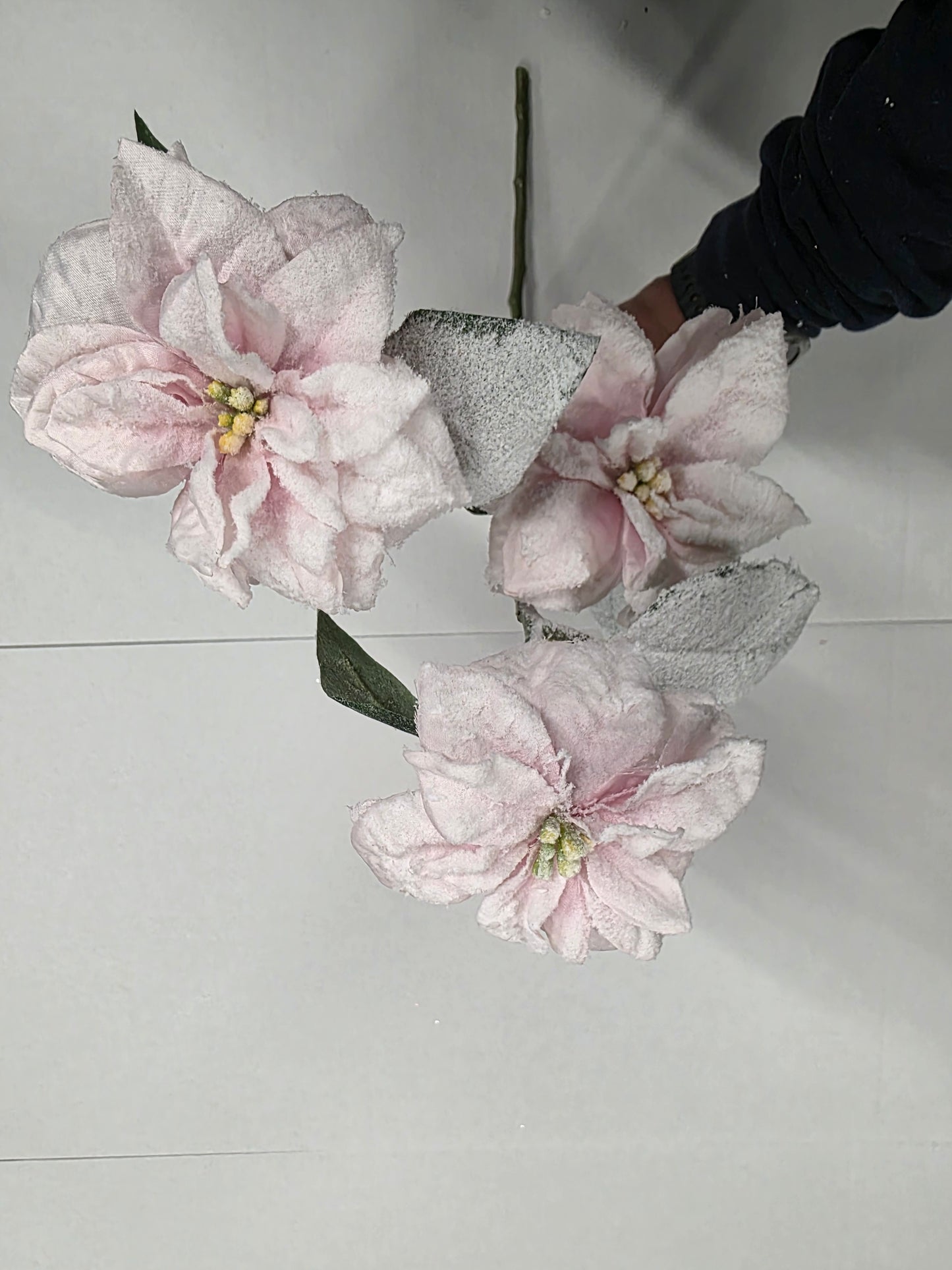 Poinsettis Pink Frosted 60cm