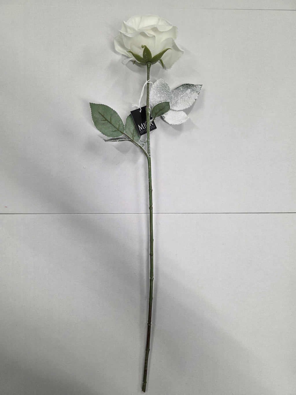 Rose White 65cm