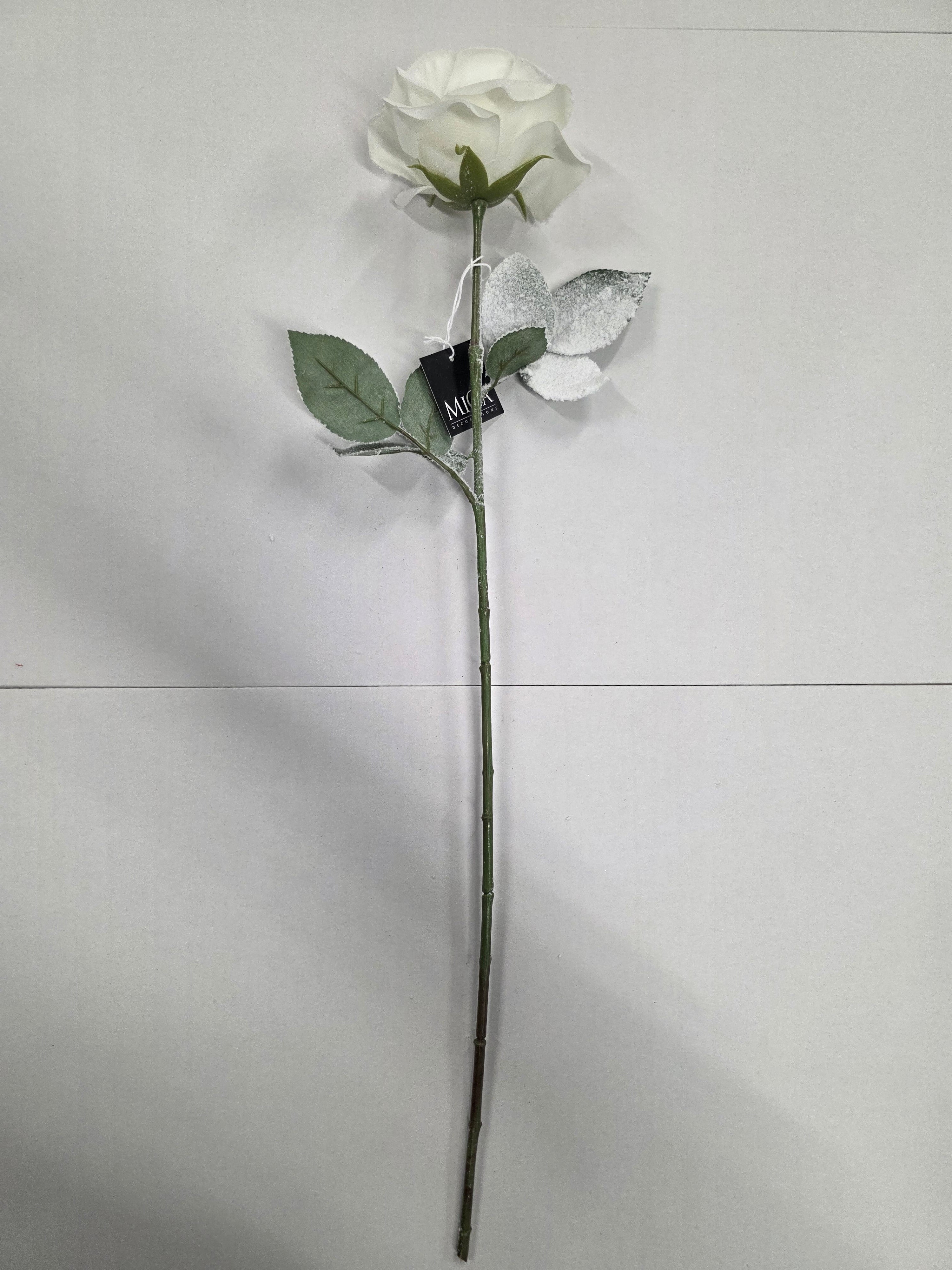 Rose White 65cm